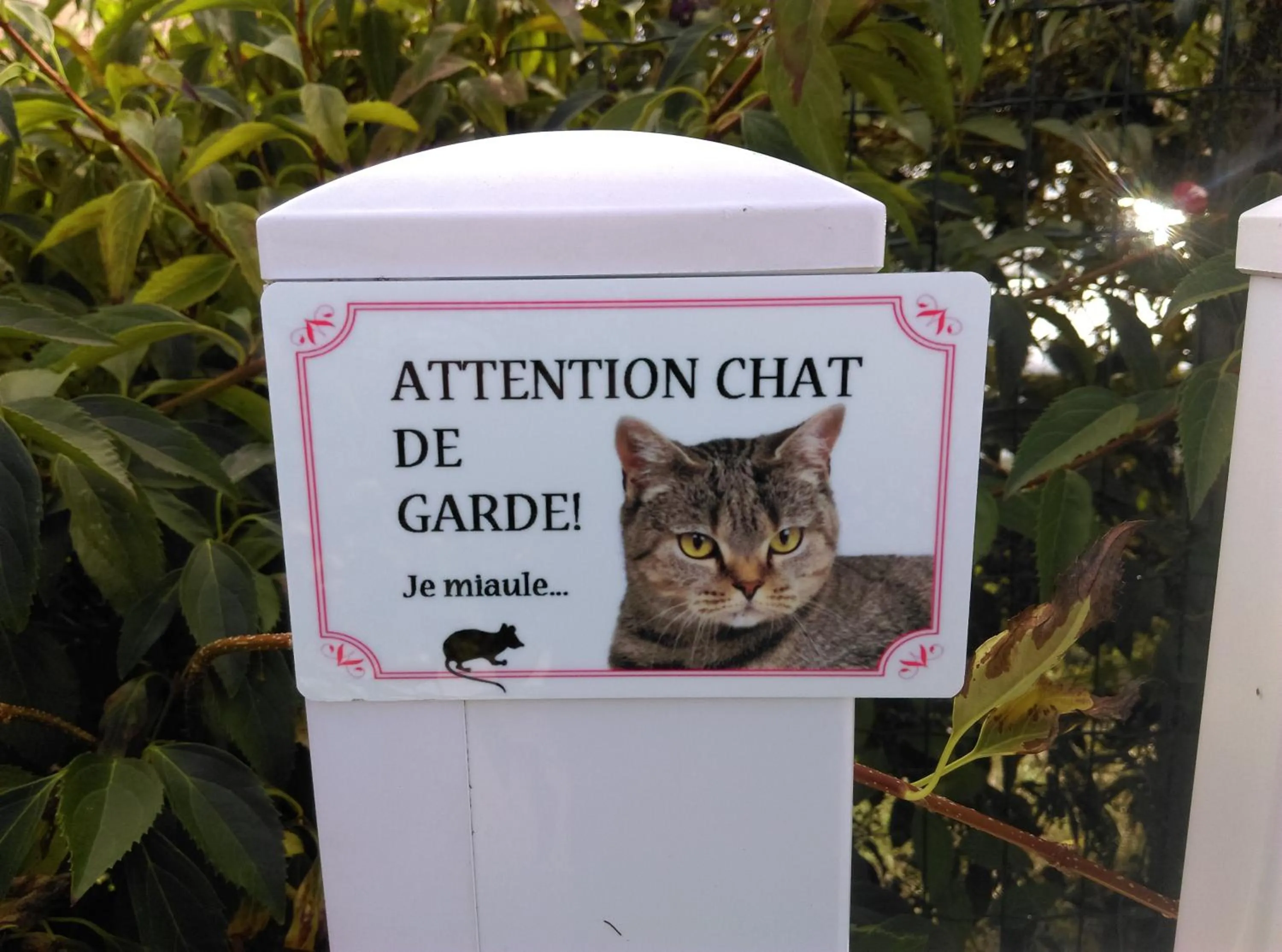 Pets in Ode au Bonheur St Georges sur Cher