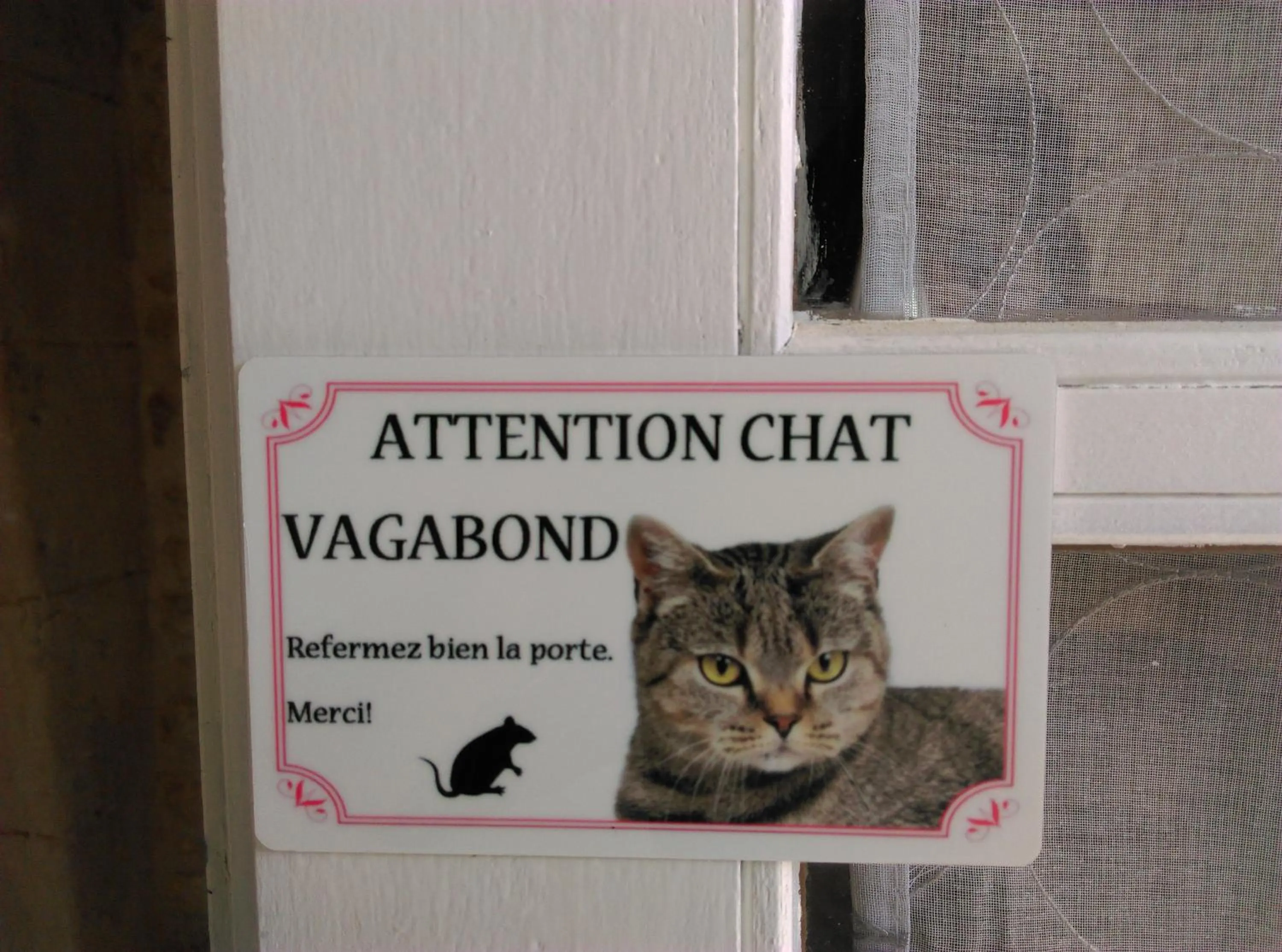 Pets in Ode au Bonheur St Georges sur Cher