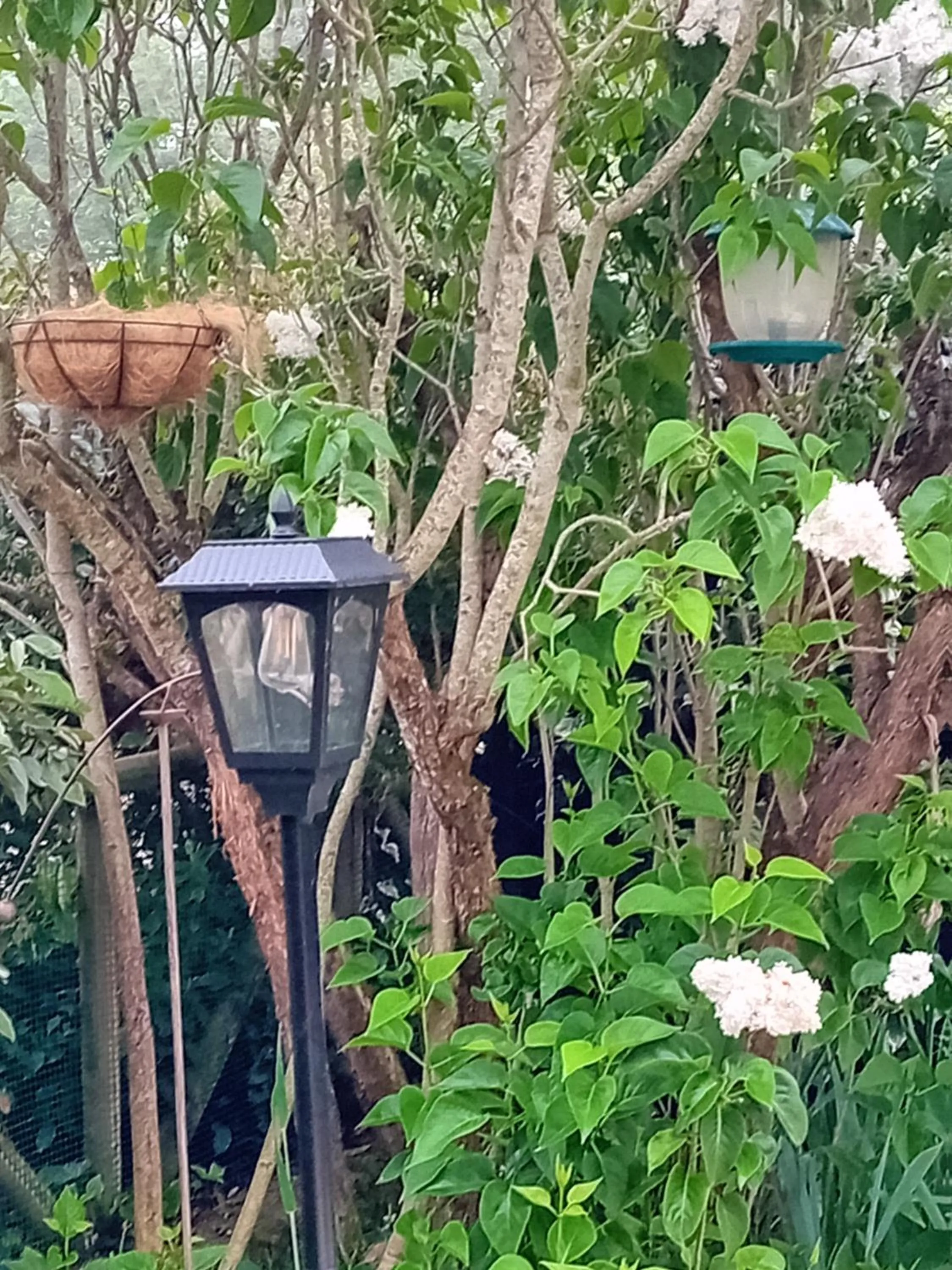 Garden in Ode au Bonheur St Georges sur Cher