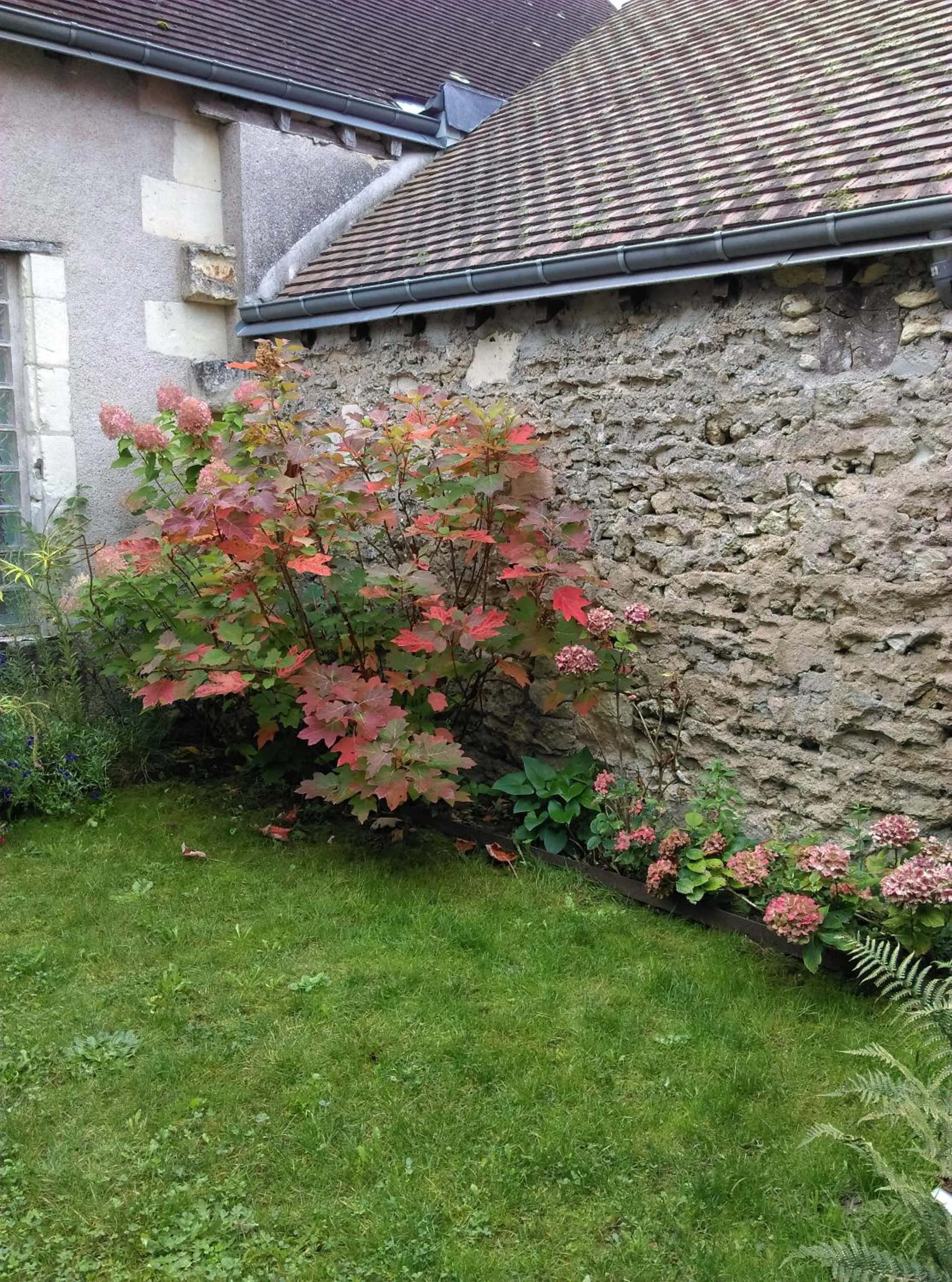 Garden in Ode au Bonheur St Georges sur Cher