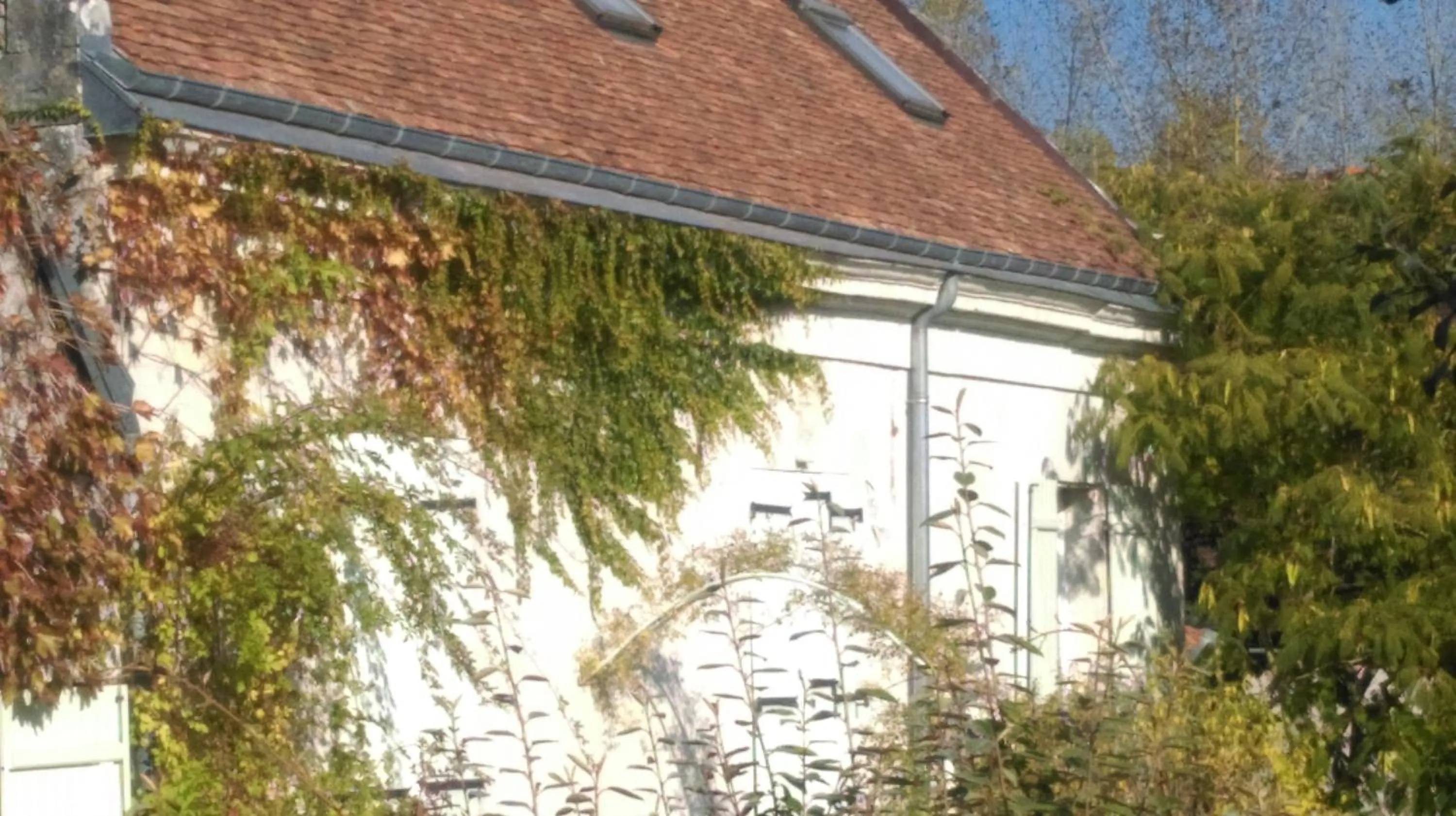 Property building in Ode au Bonheur St Georges sur Cher