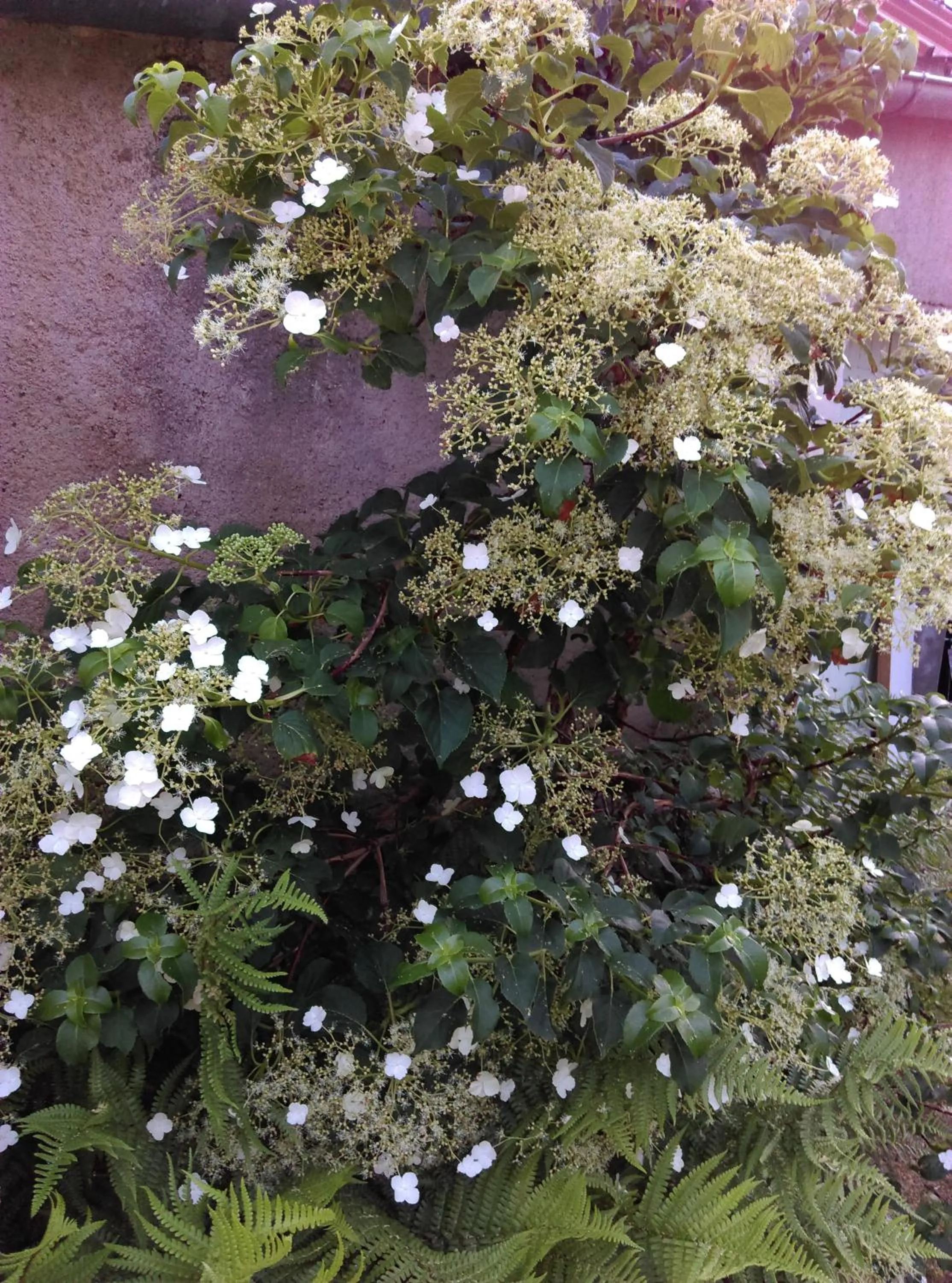 Garden in Ode au Bonheur St Georges sur Cher