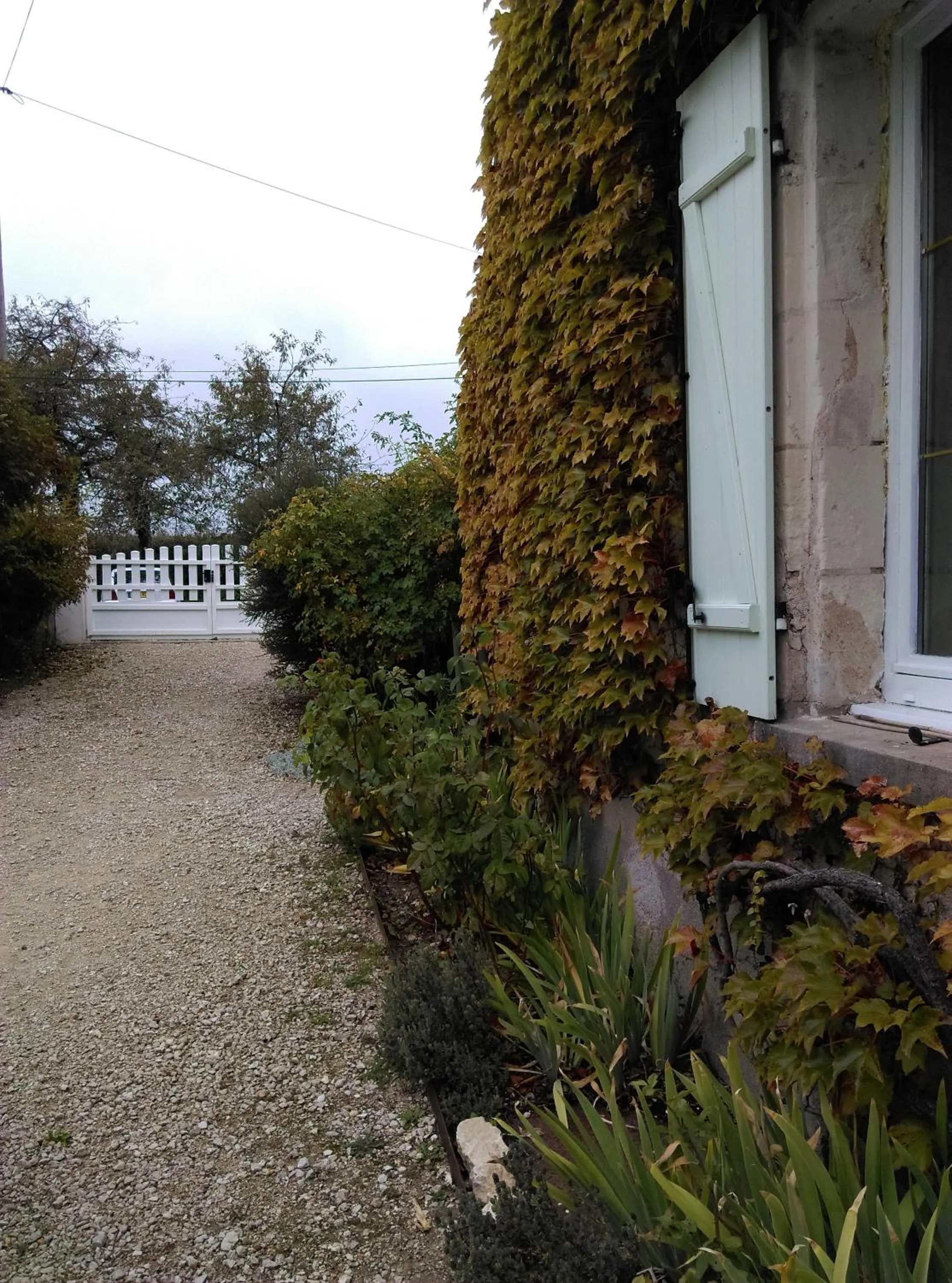 Garden in Ode au Bonheur St Georges sur Cher