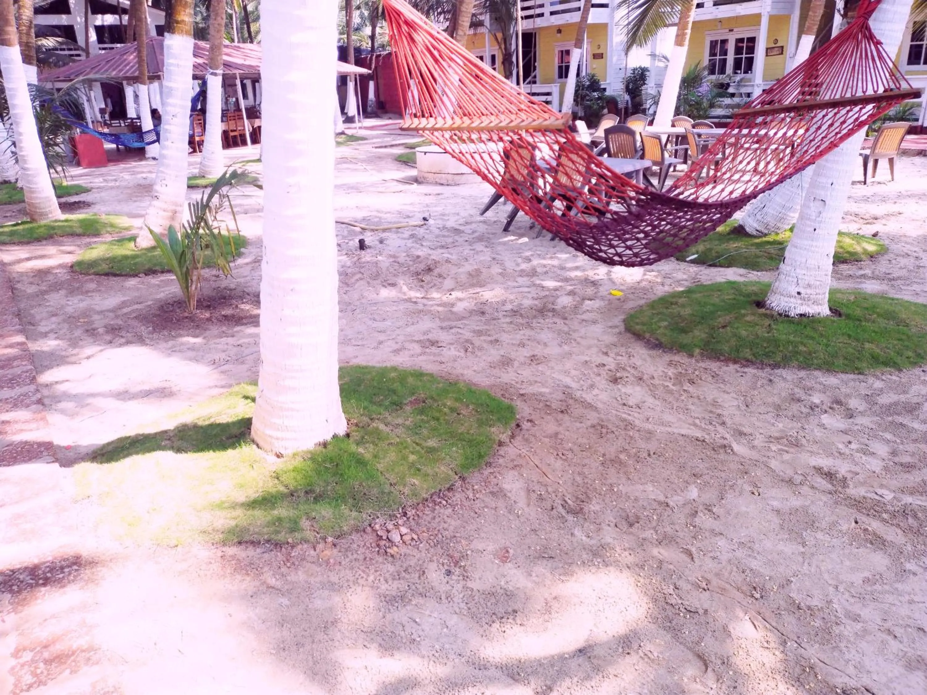 Garden in Samant Beach Resort