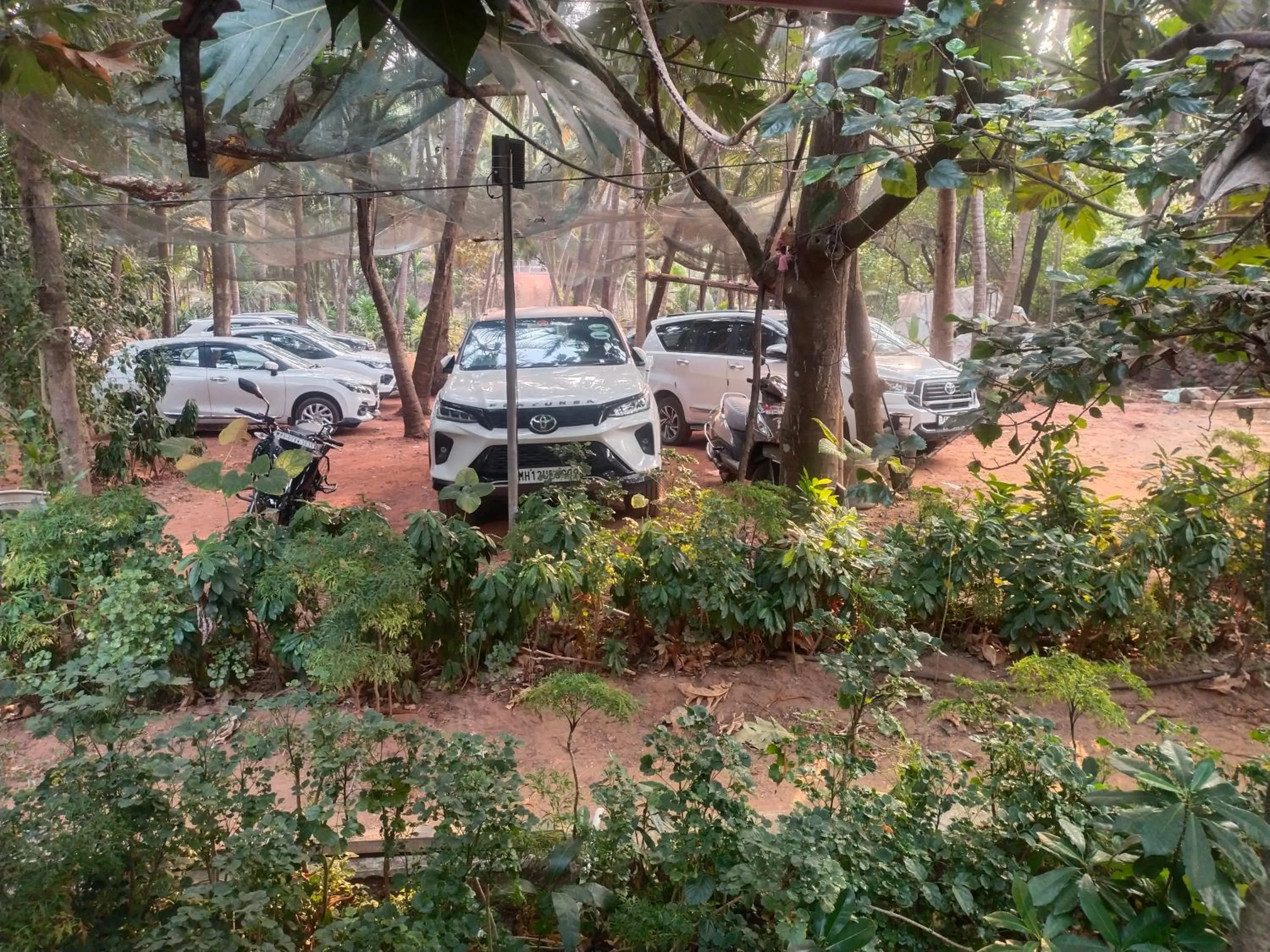 Garden in Samant Beach Resort