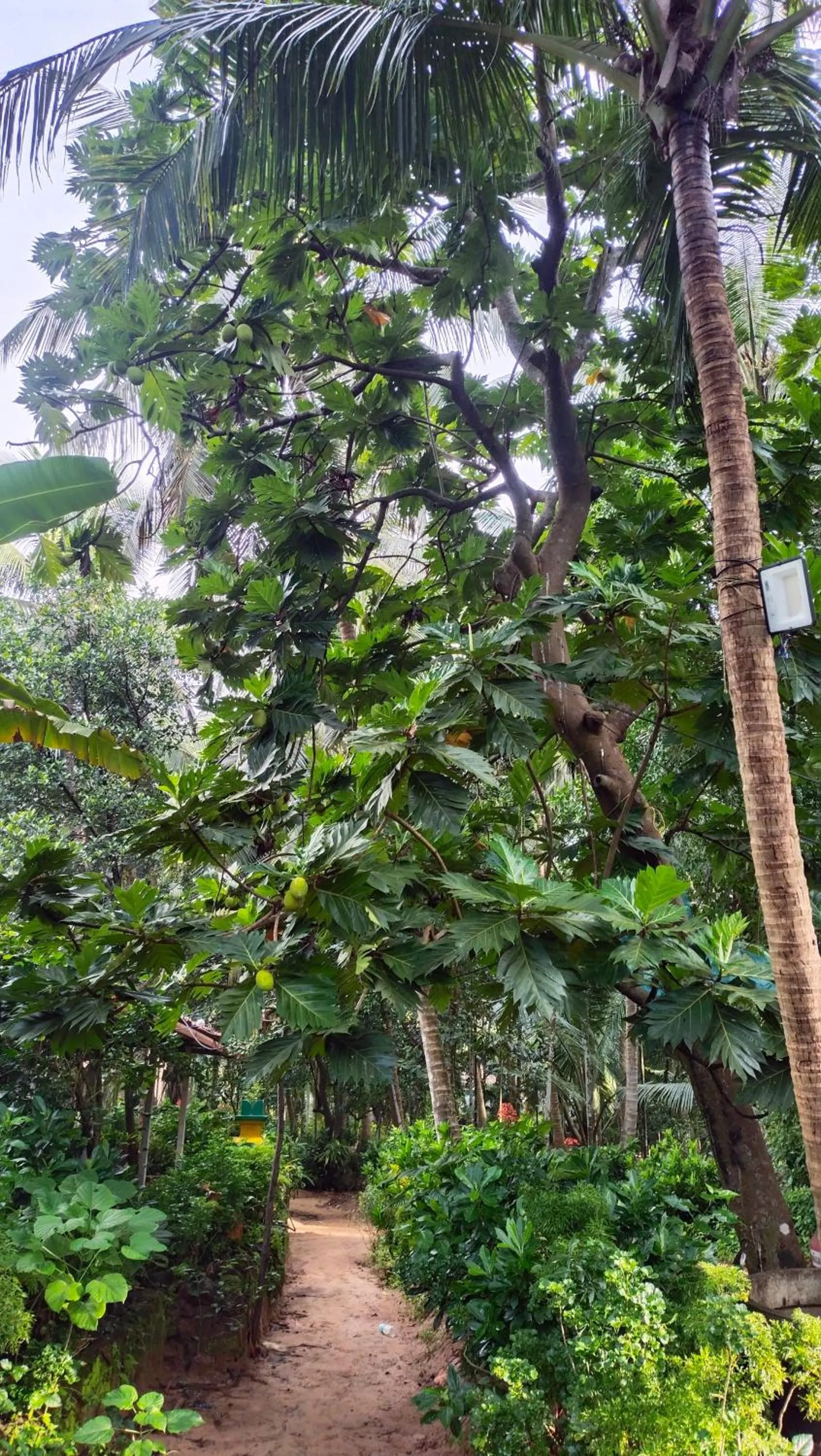 Day in Samant Beach Resort