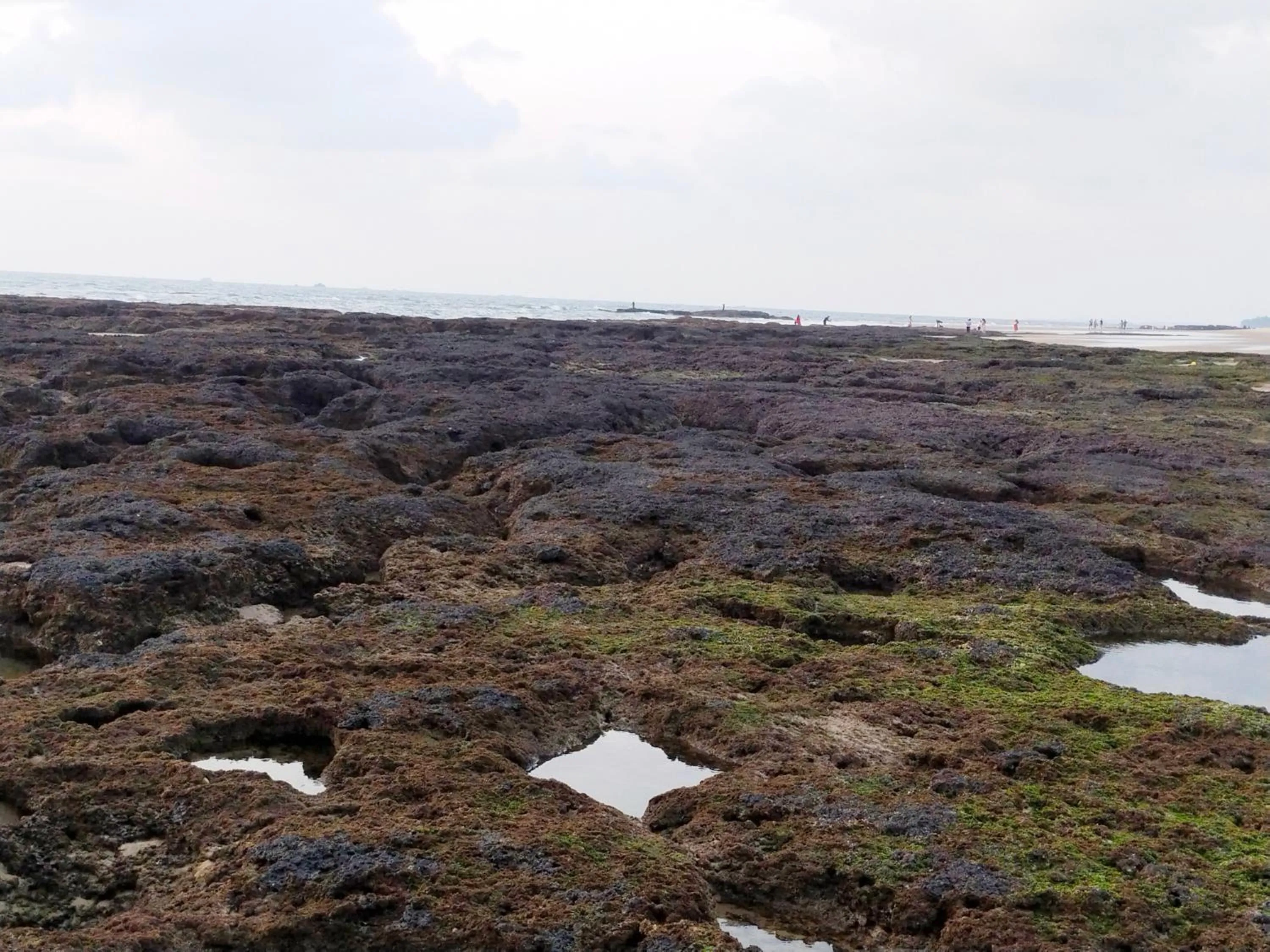 Natural landscape in Samant Beach Resort