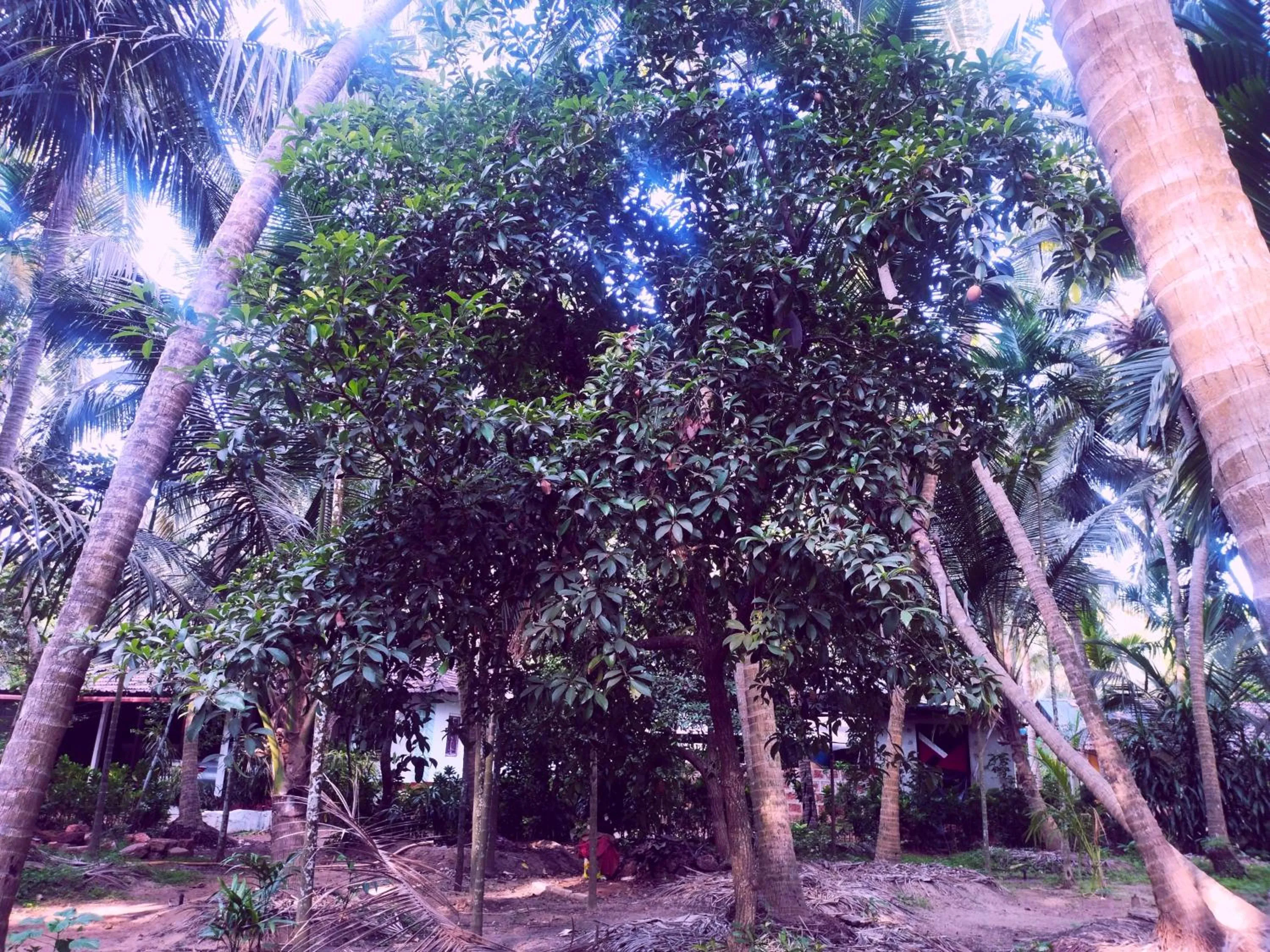 Day in Samant Beach Resort