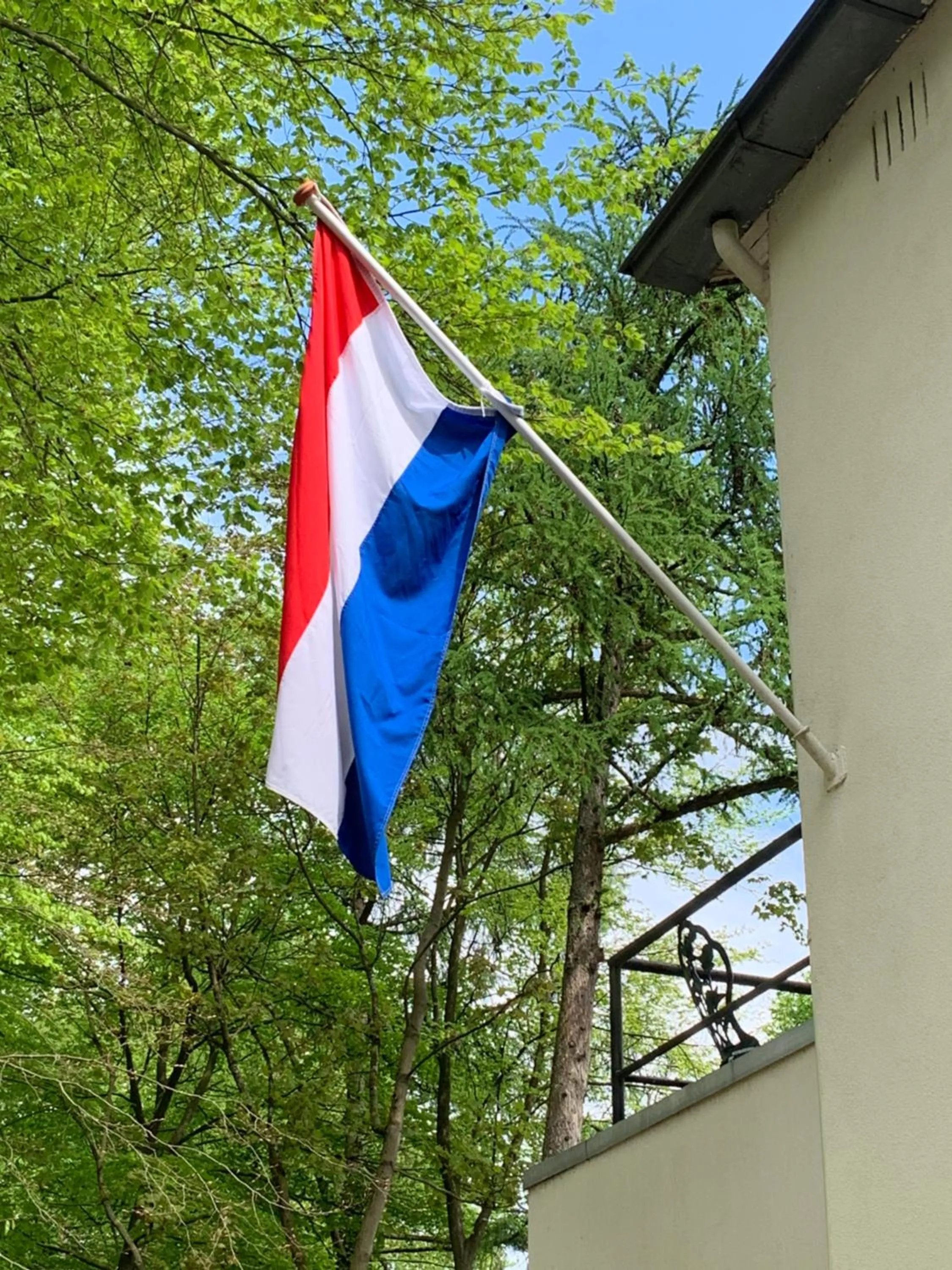 Day in In de aap gelogeerd