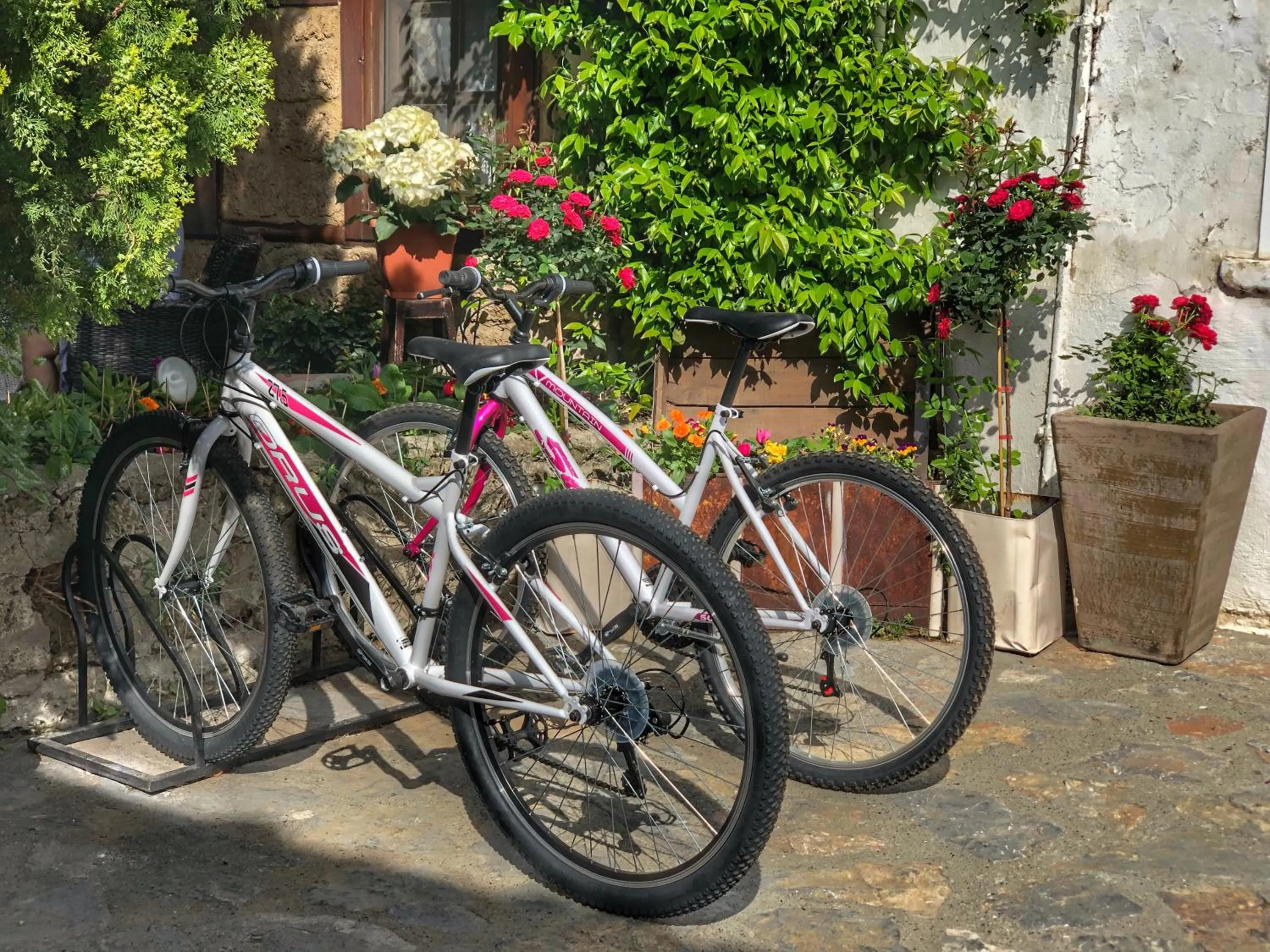 Activities in Varosi 4 Seasons