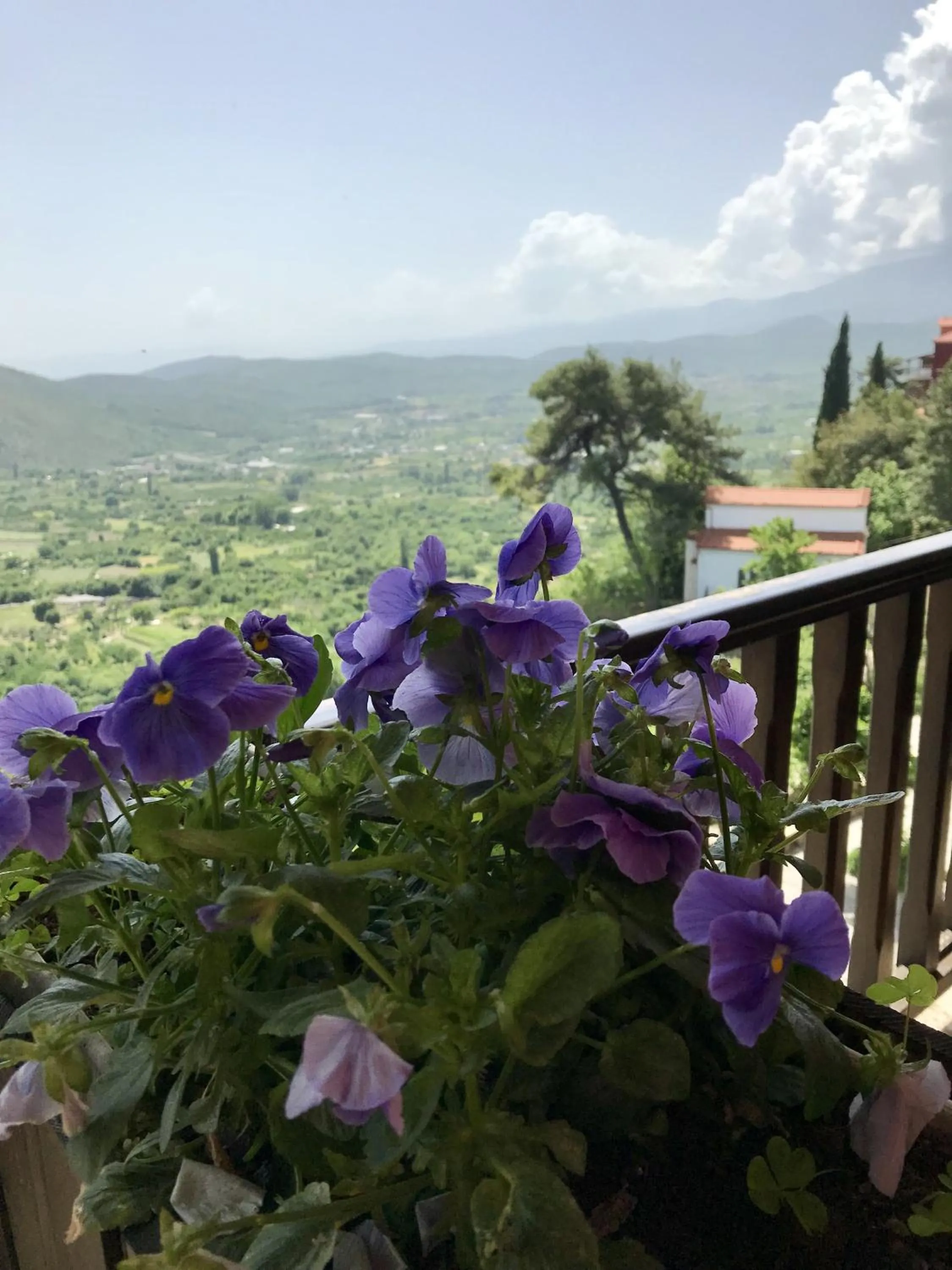 Spring in Varosi 4 Seasons