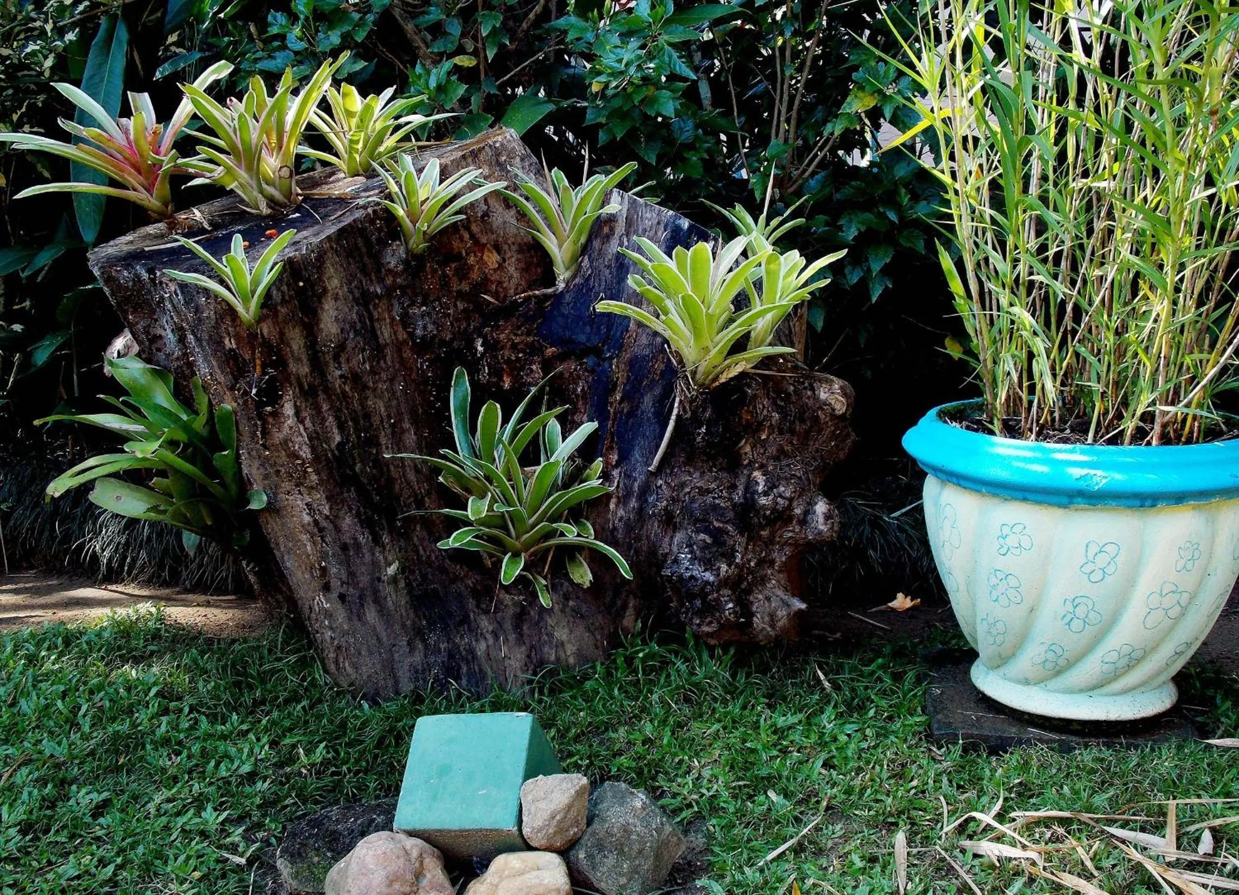 Decorative detail in Pousada Caúca