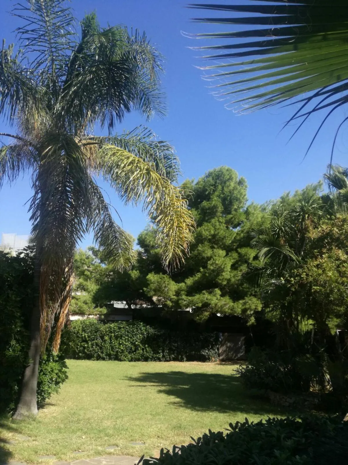 Garden in Villa Grande