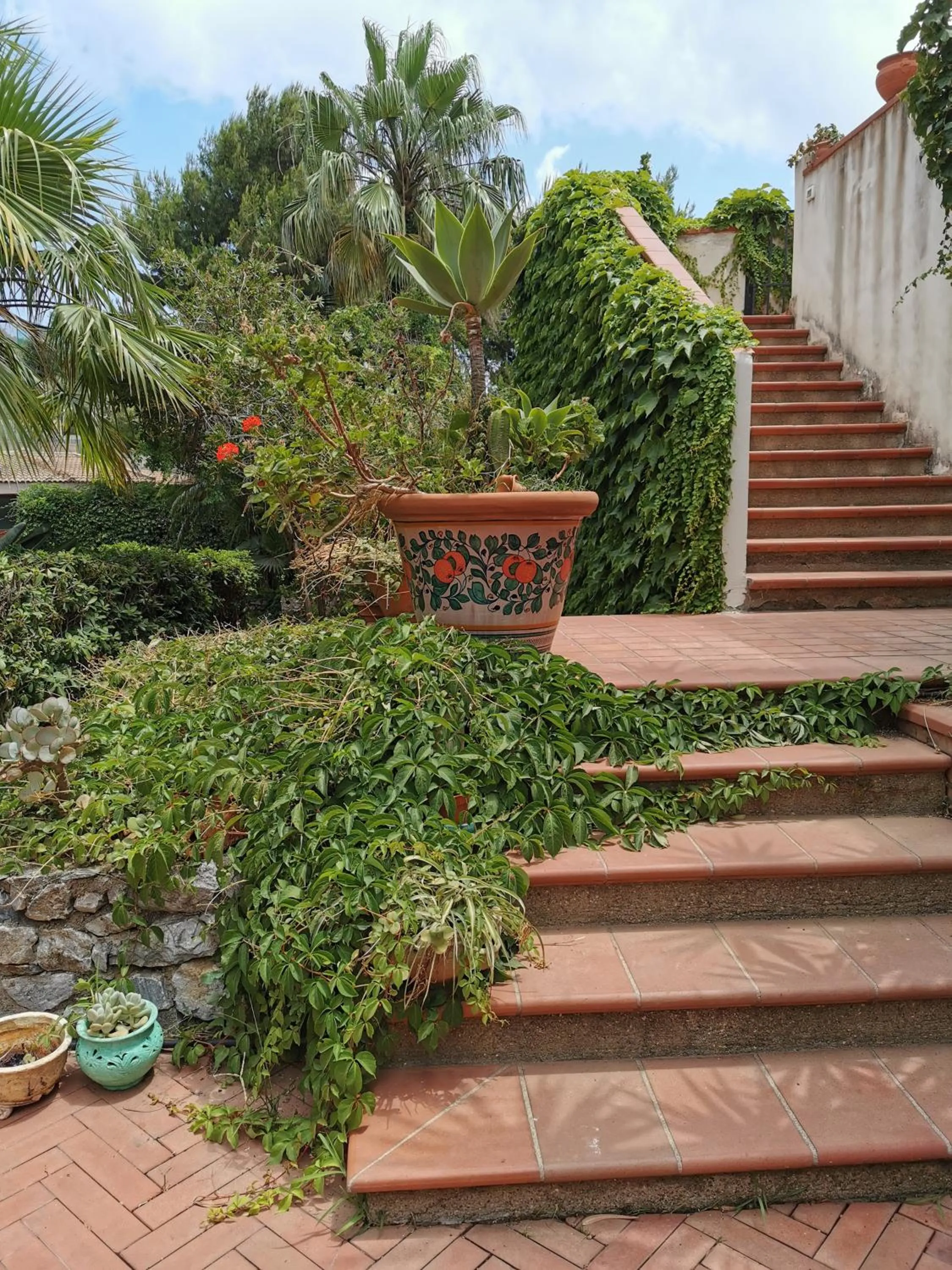 Garden in Villa Grande