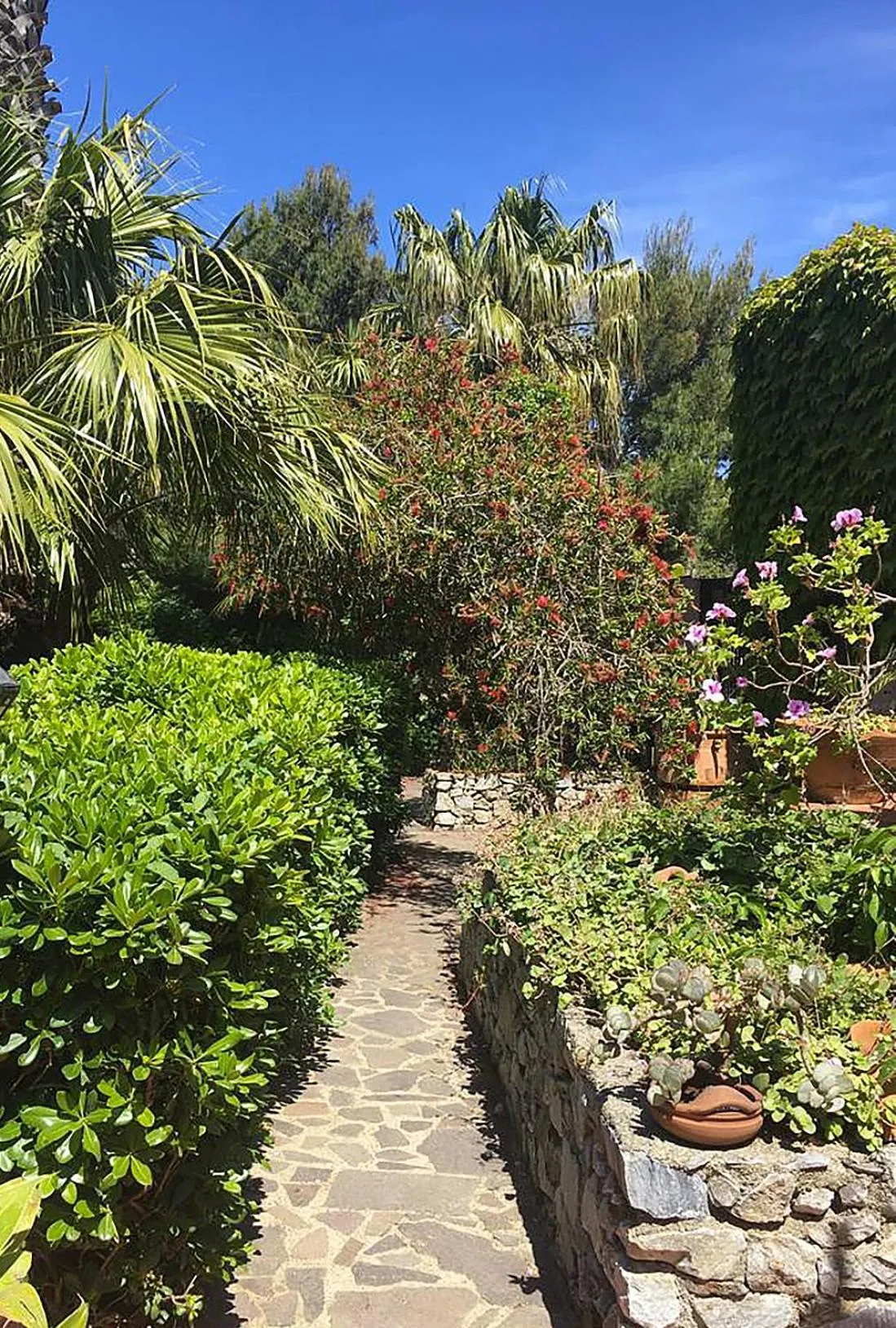 Garden in Villa Grande