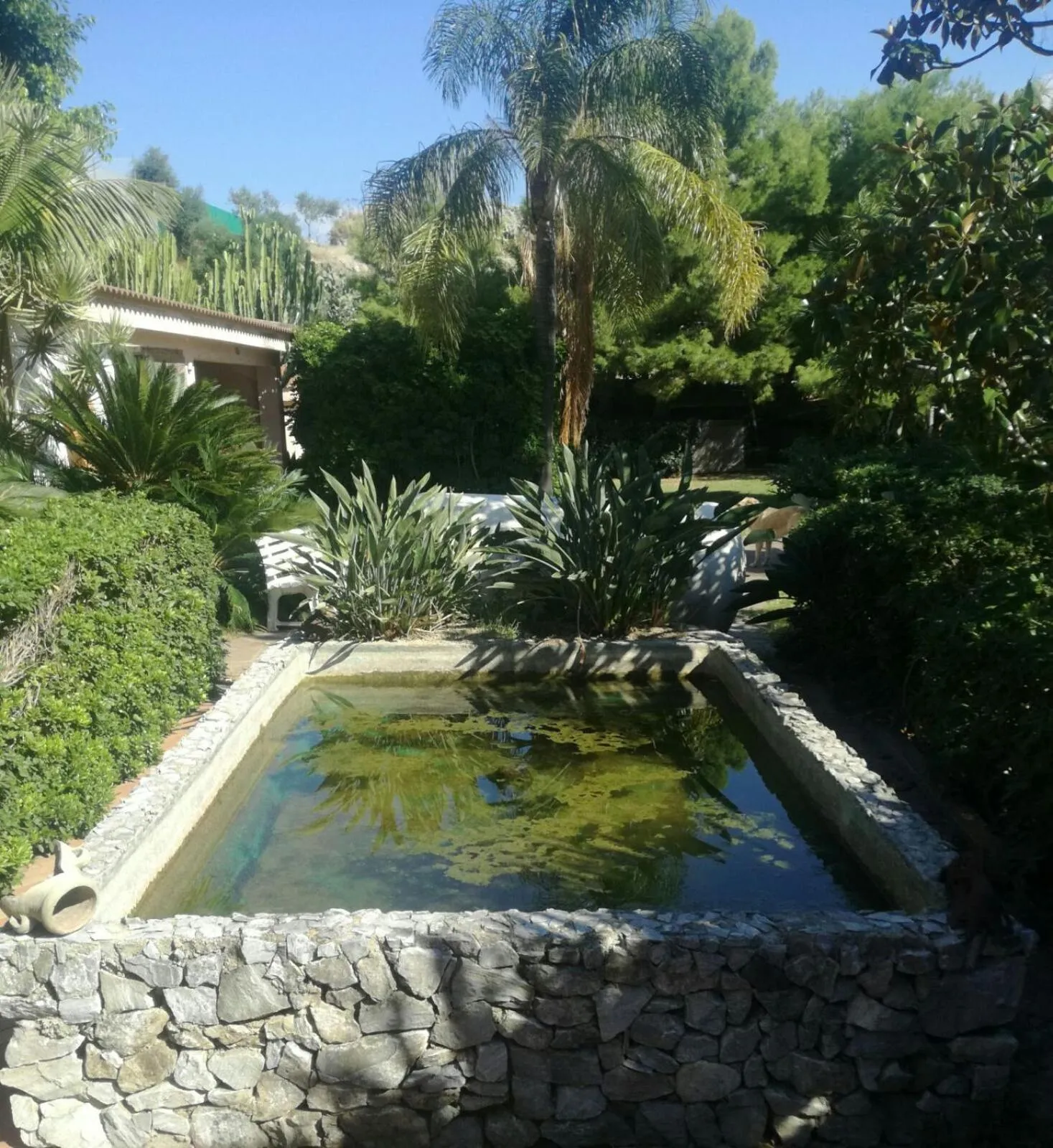 Garden in Villa Grande