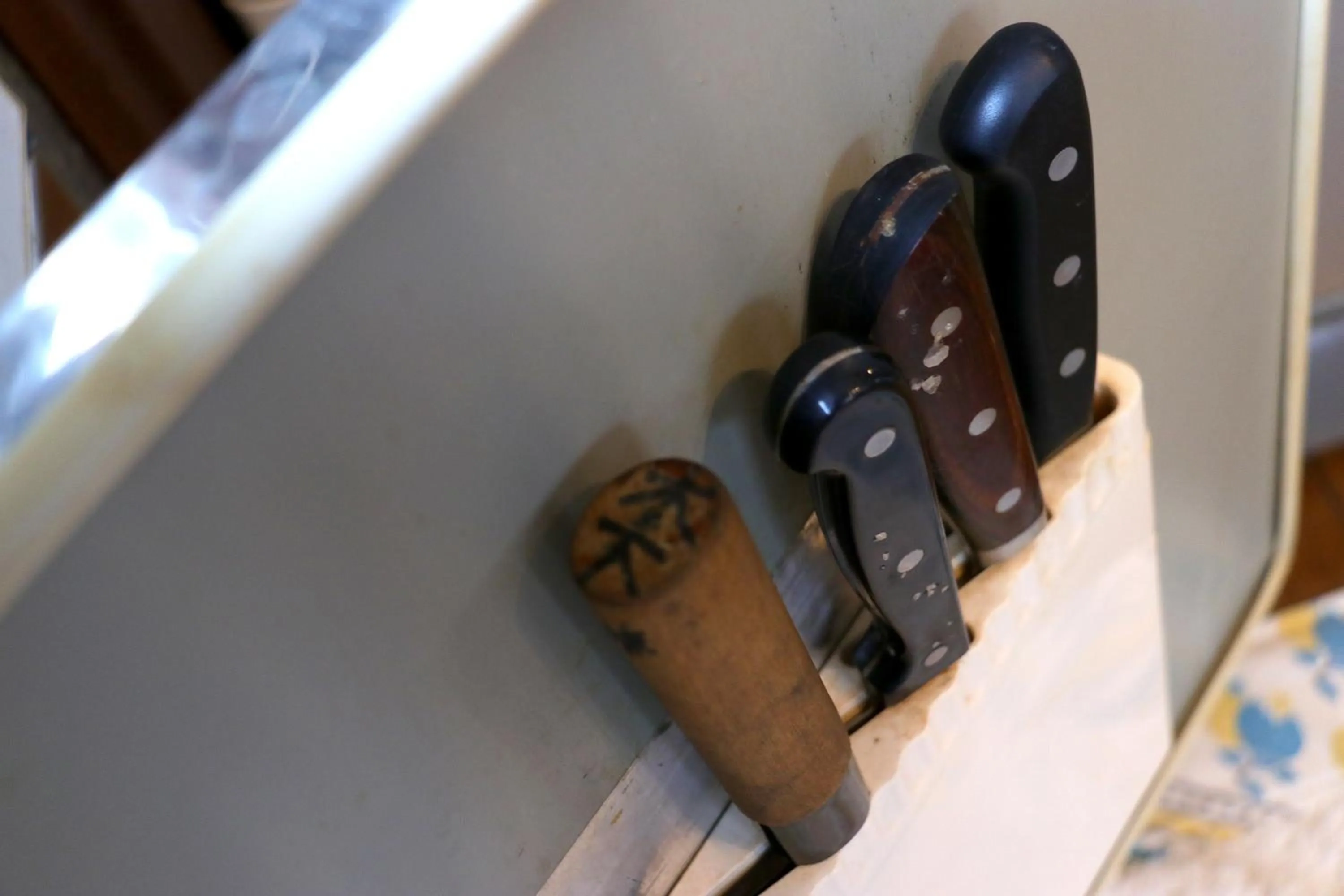 Kitchen or kitchenette in Shanti House Sakaiminato