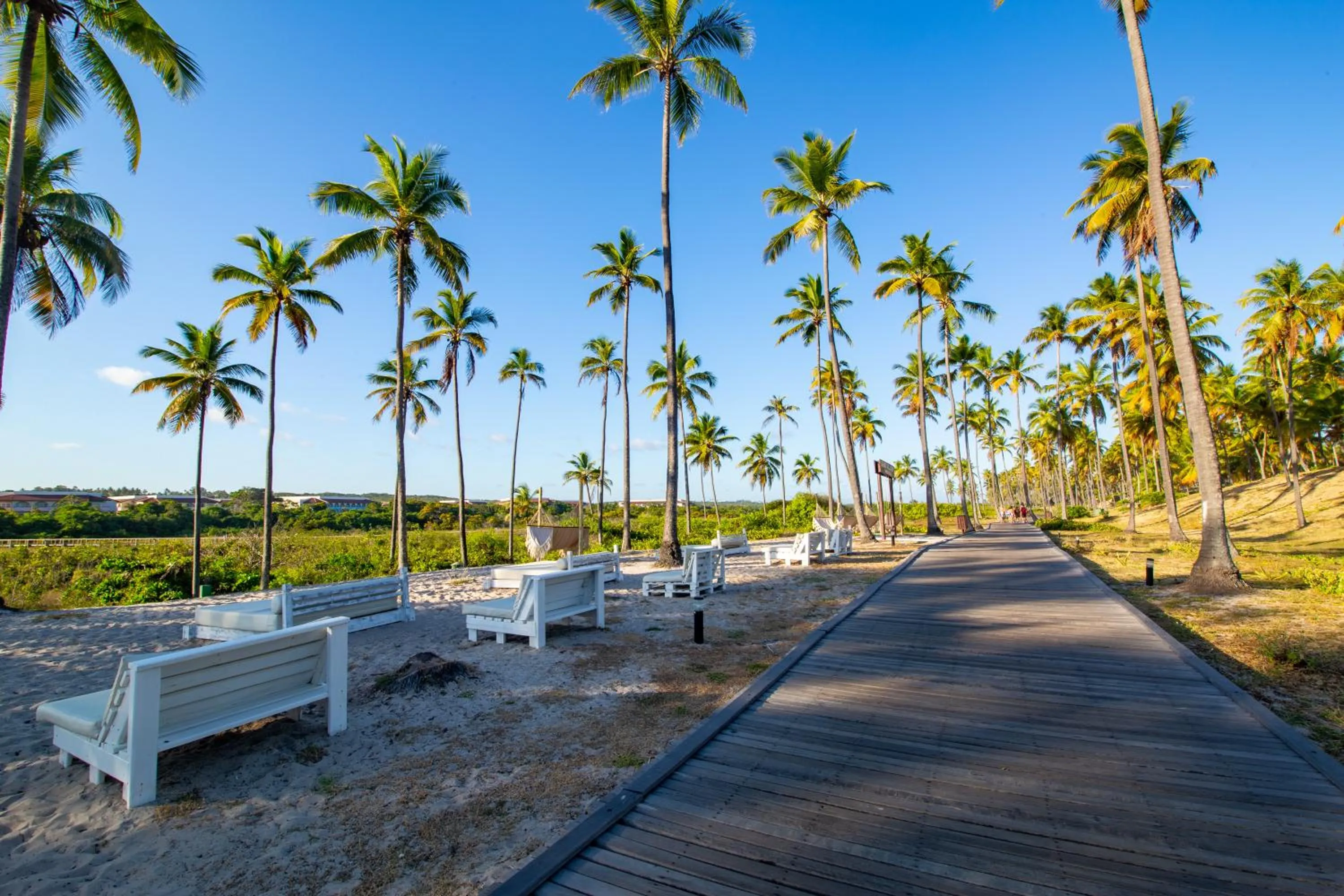 Natural landscape in Grand Palladium Imbassaí Resort & Spa - All Inclusive