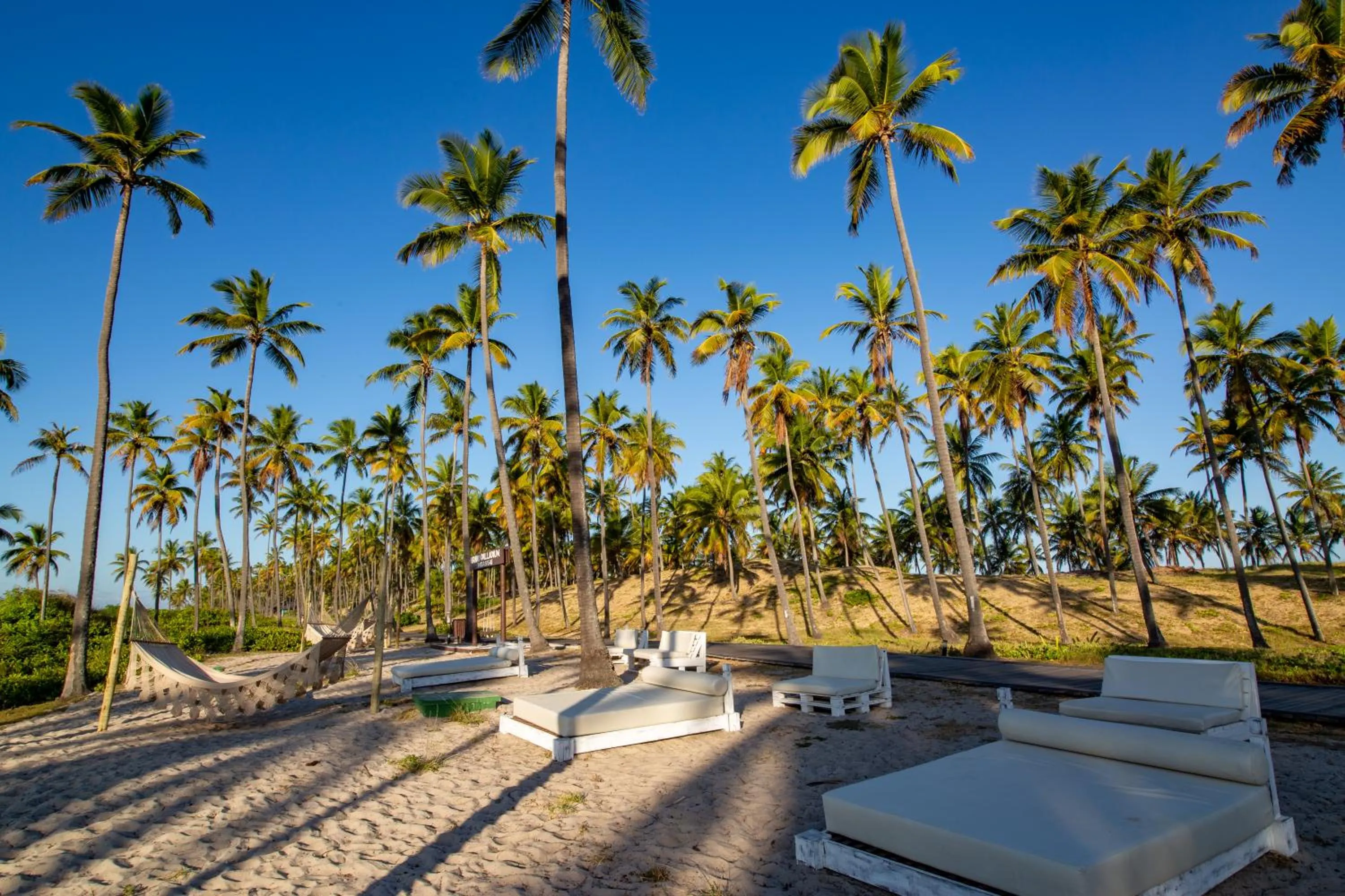 Natural landscape in Grand Palladium Imbassaí Resort & Spa - All Inclusive