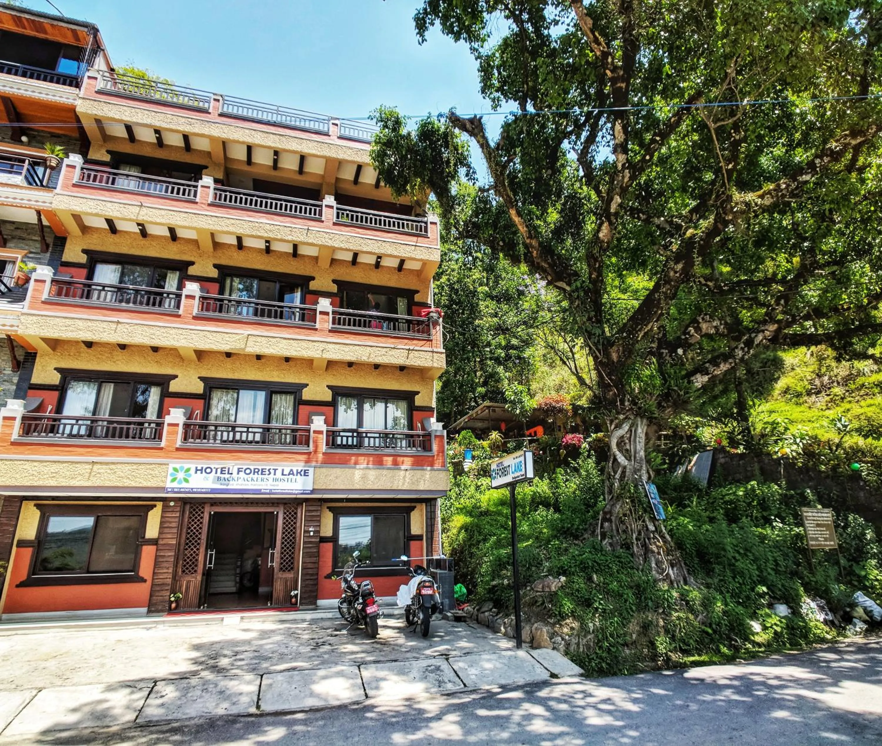 Property building in Hotel Forest Lake Backpackers' Hostel
