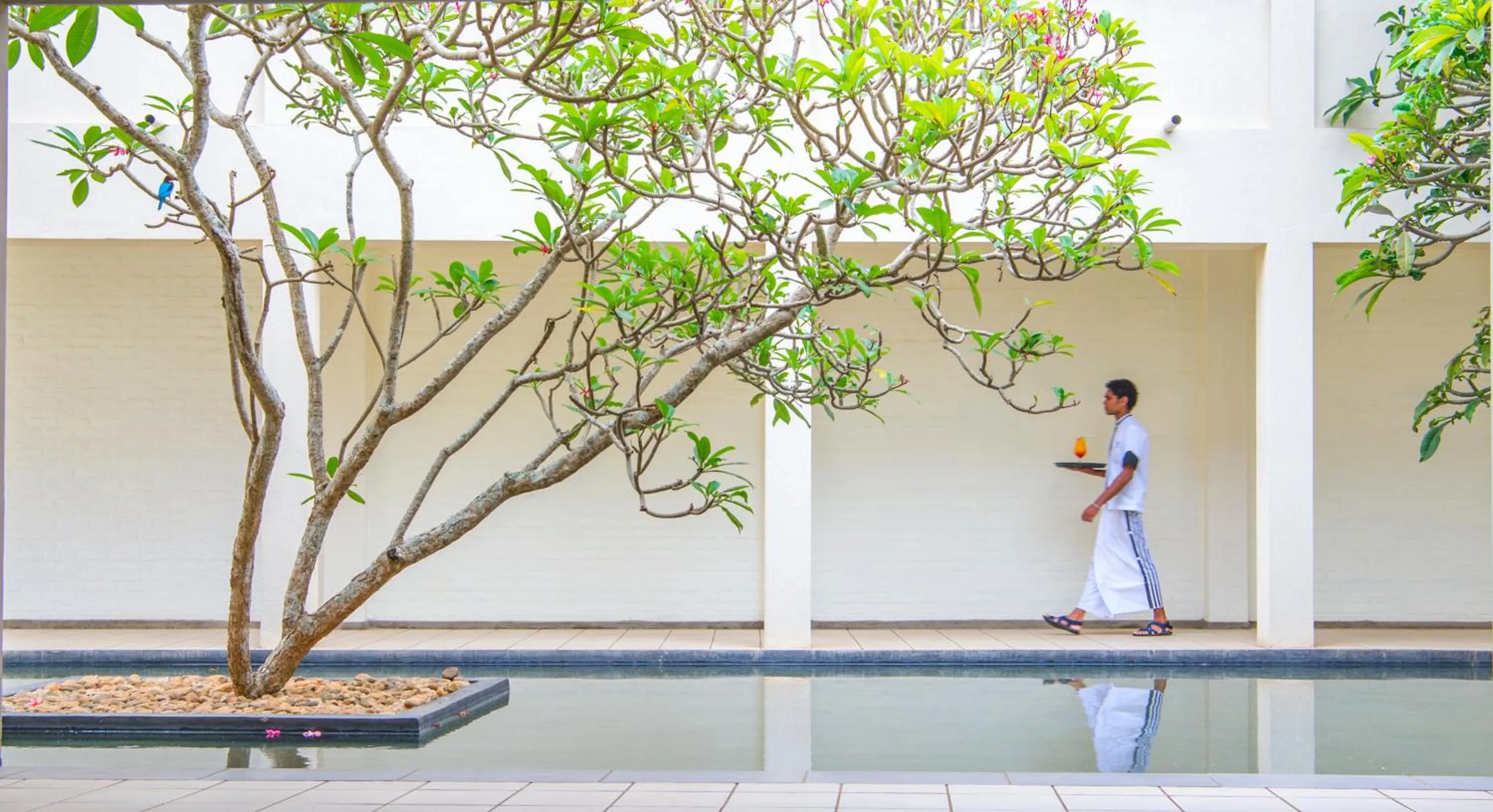 Balcony/Terrace in Mermaid Hotel & Club