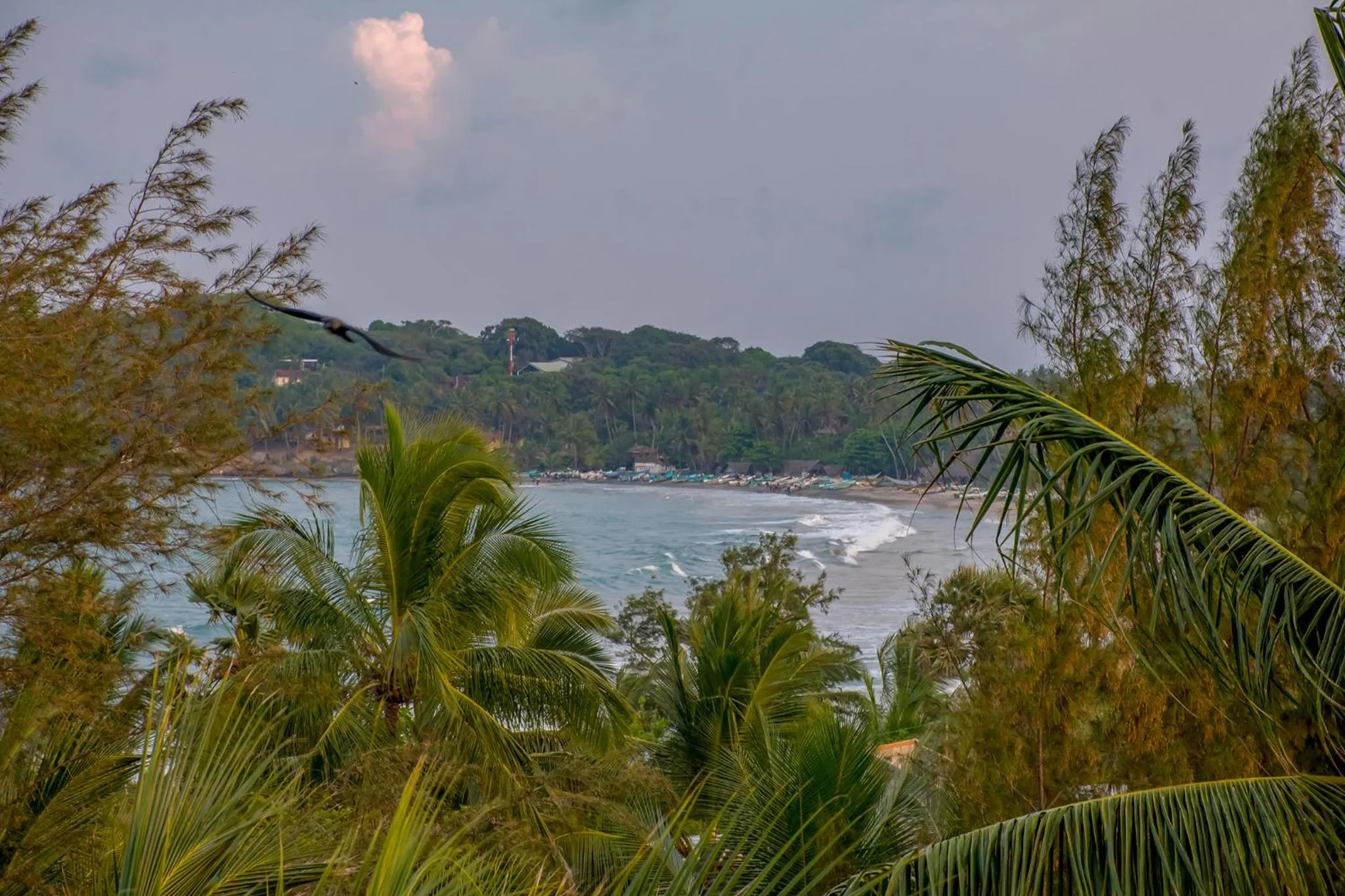 Natural landscape in Nice Place Beach Hotel