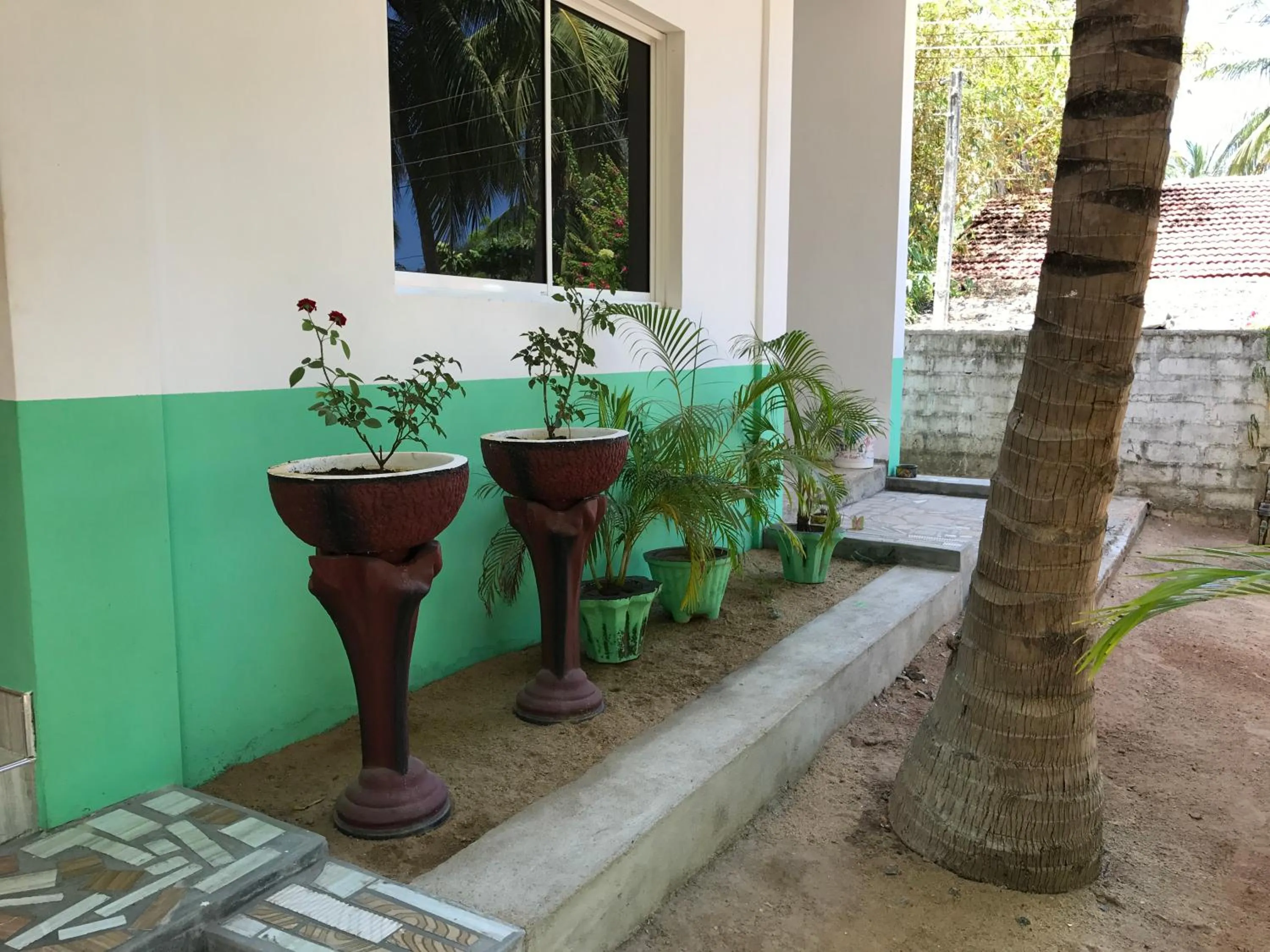 Garden view in Nice Place Beach Hotel