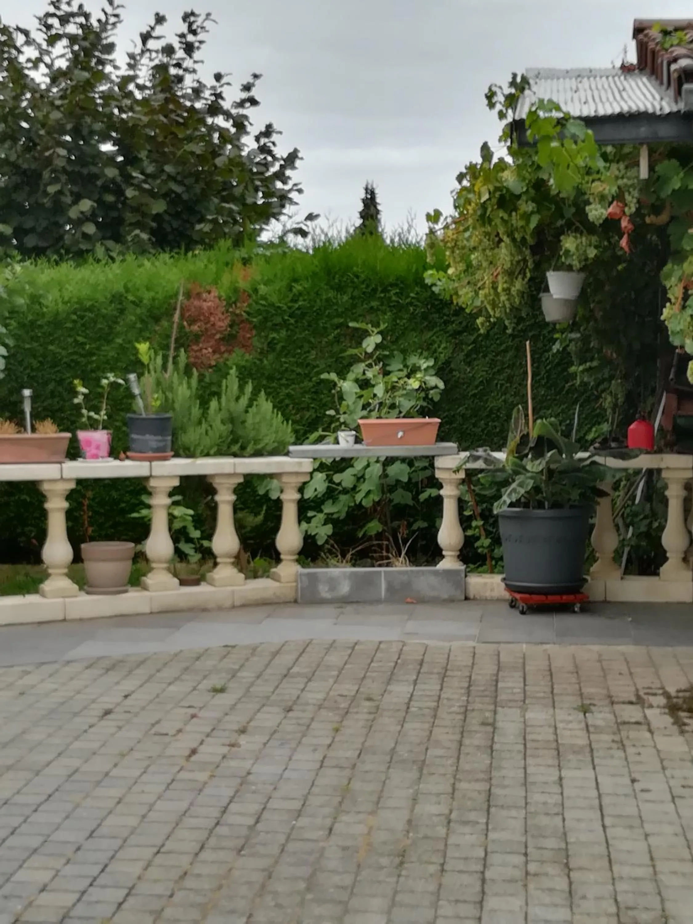 Garden view in Le Castillon