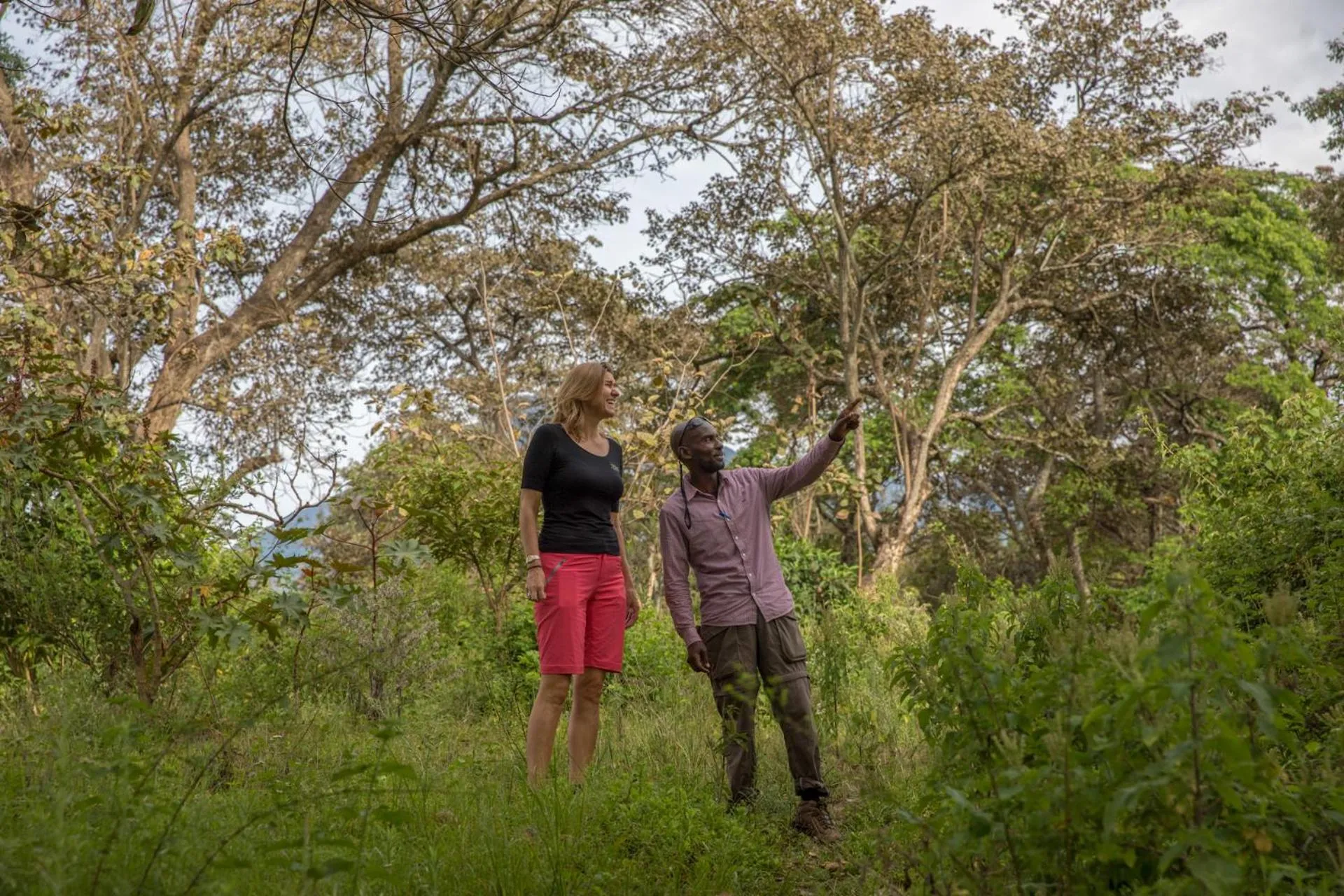 Hiking in Arusha Villa Karamu Coffee Estate
