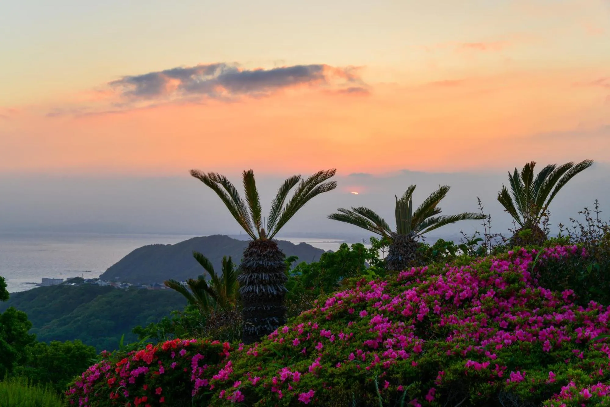 Spring in Scapes The Suite