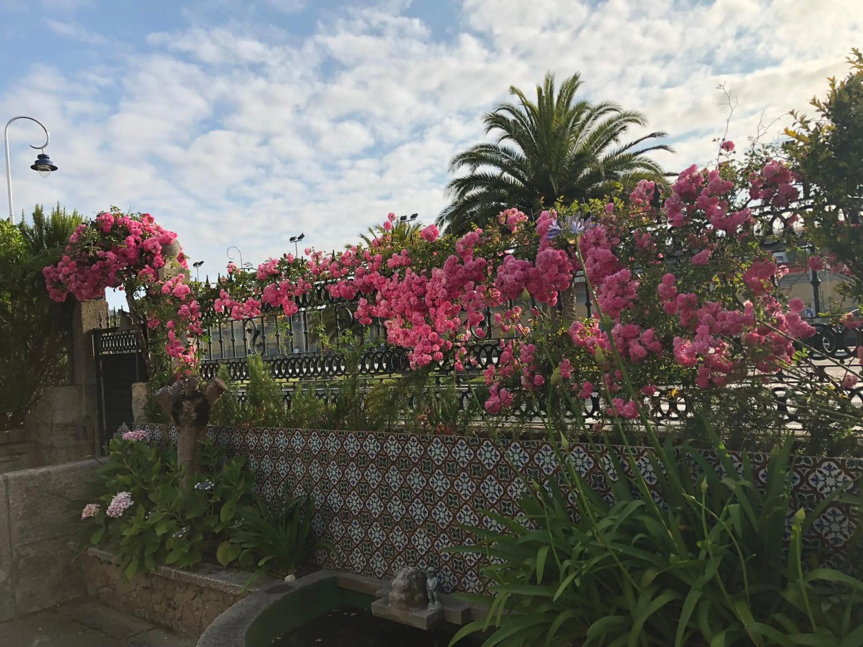 Garden in Hotel Playa Samil Vigo