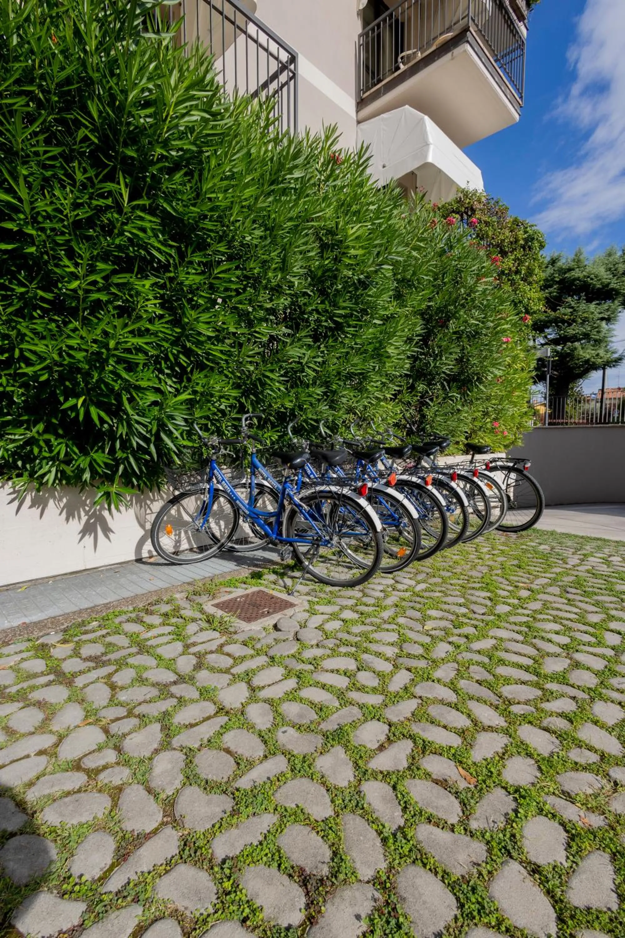 Cycling in Hotel Berta