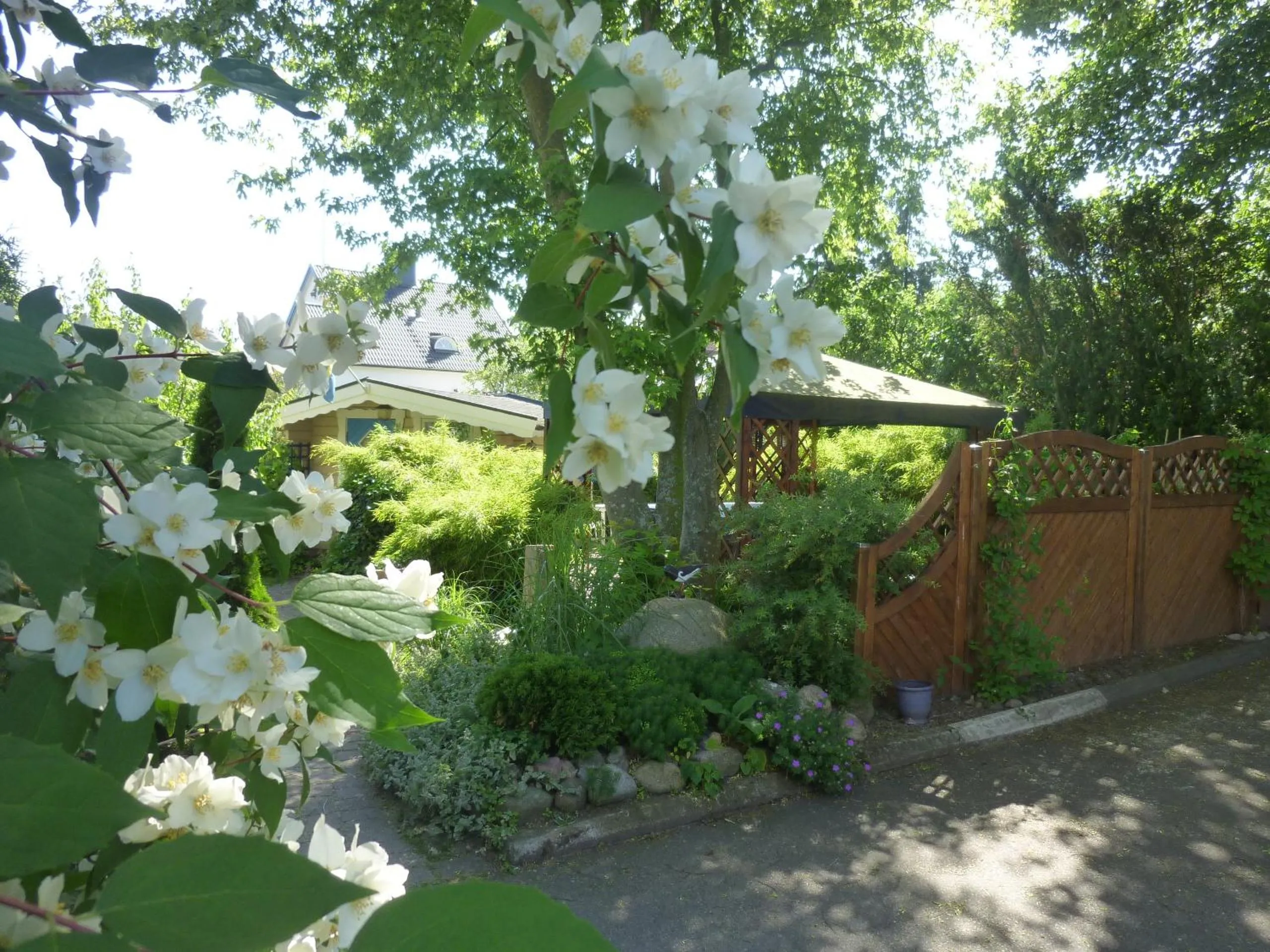 Other in Nya Pallas Hotel