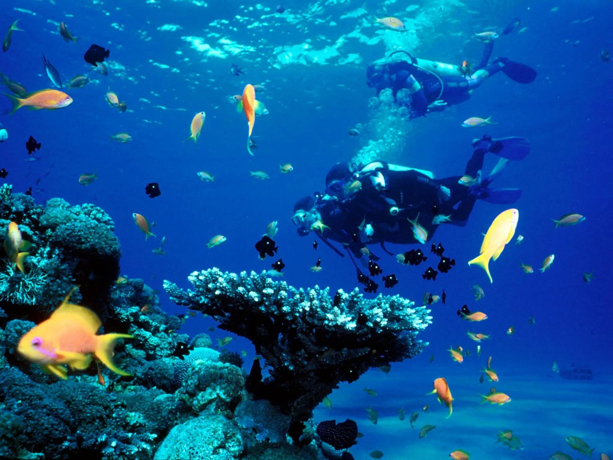 Snorkeling in Saigon Phu Quoc Resort & Spa