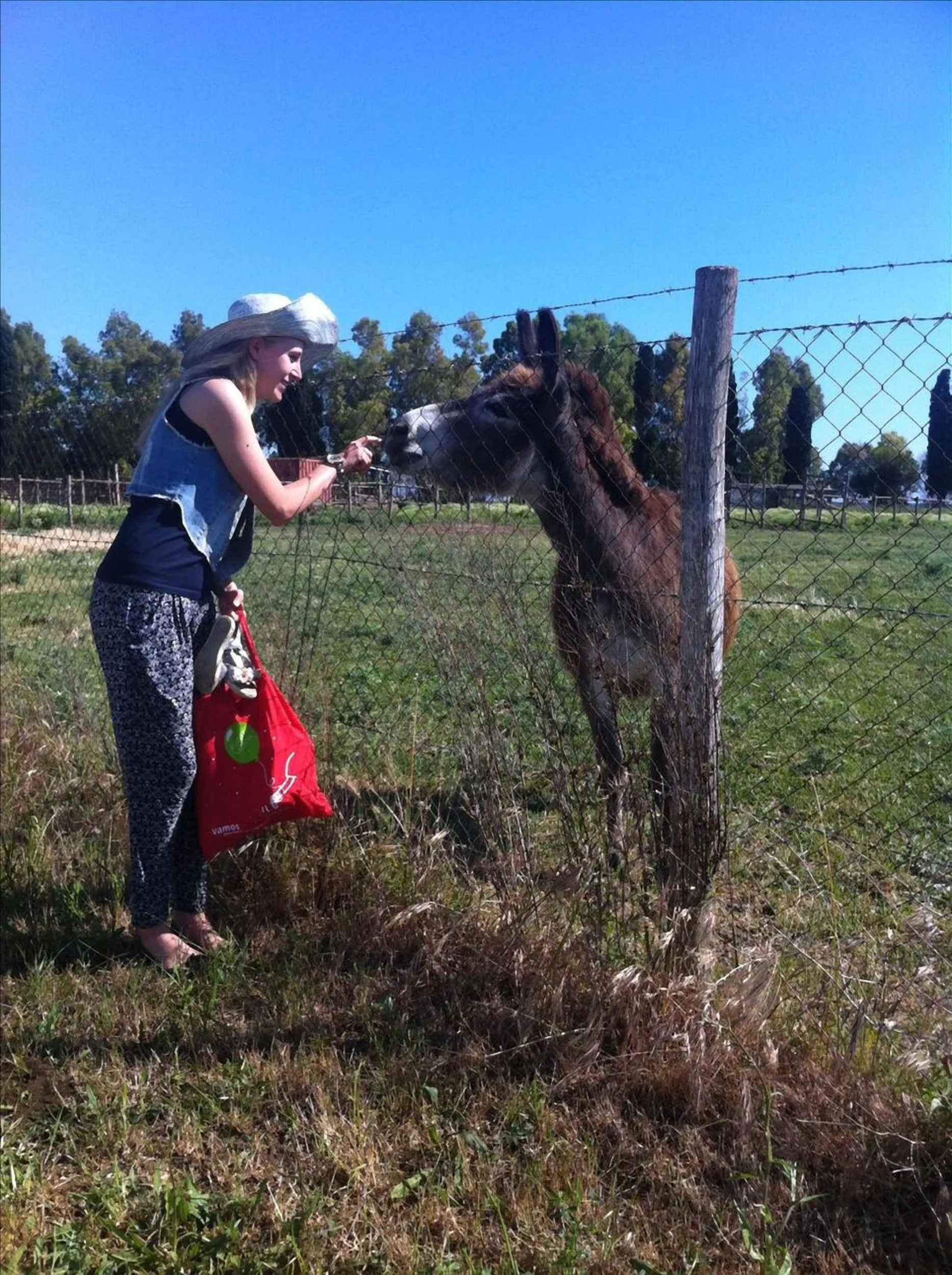 Pets in Podere Del Gesso