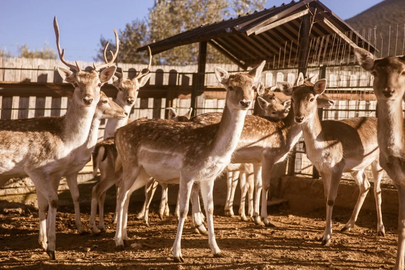 Day in Anthidon Nature Estate & Farm