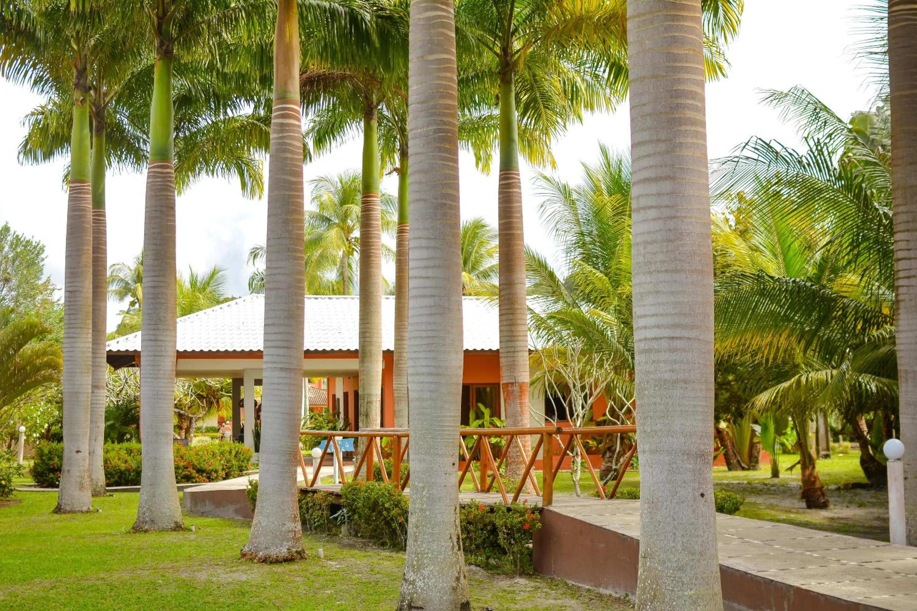 Natural landscape in Village Paraíso Tropical