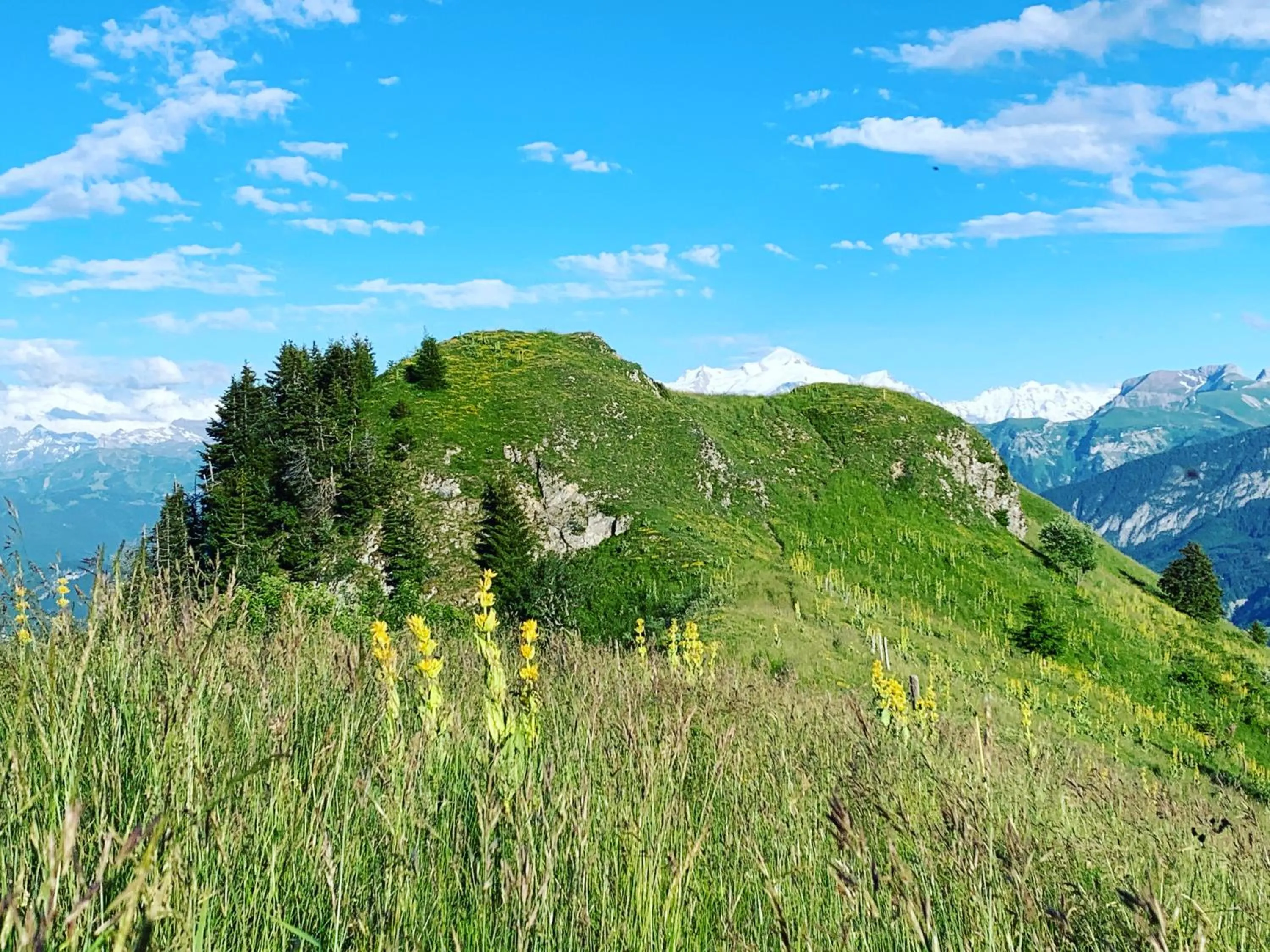 Hiking in La Ferme Du Lac