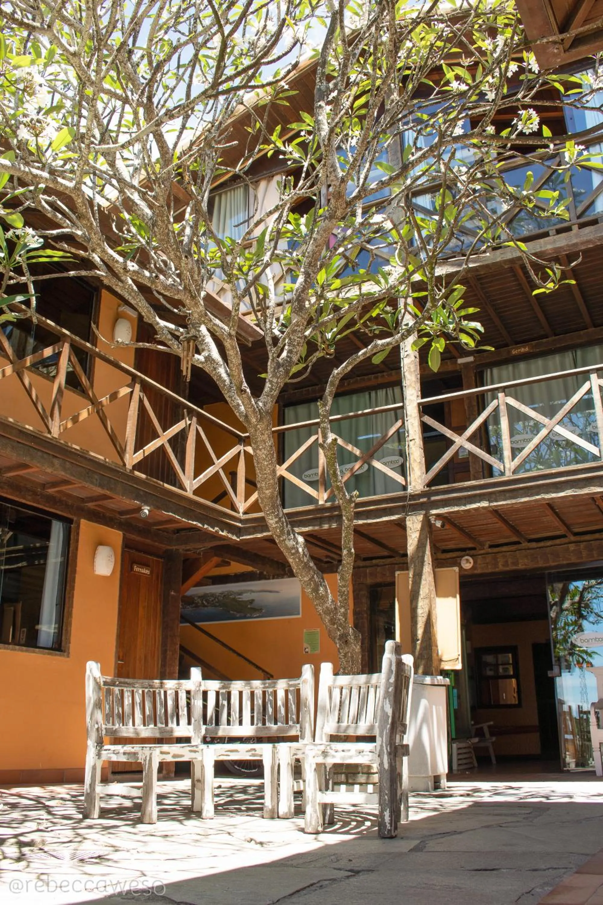 Inner courtyard view in Bamboo Búzios Hostel