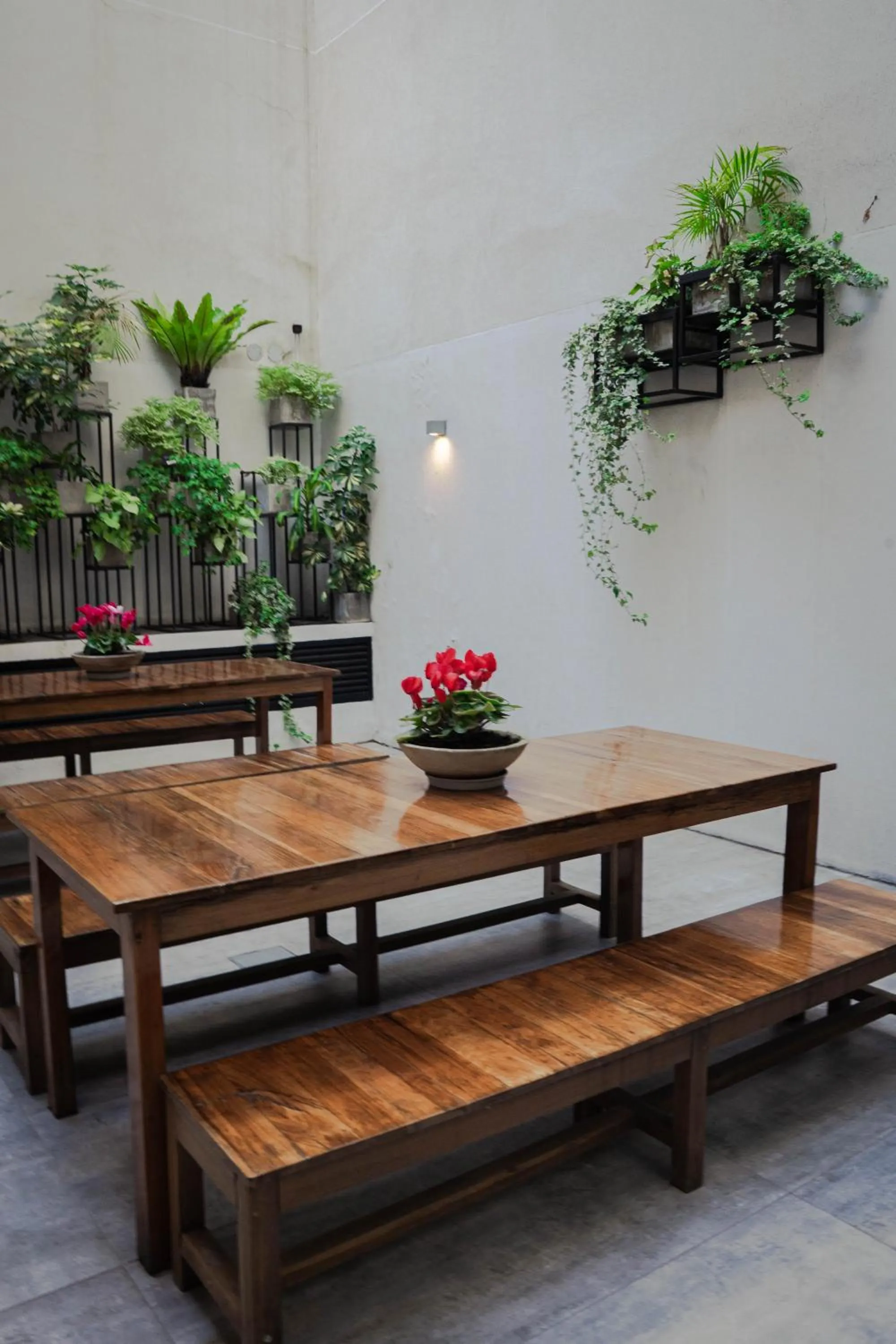 Patio in Pleno Madero