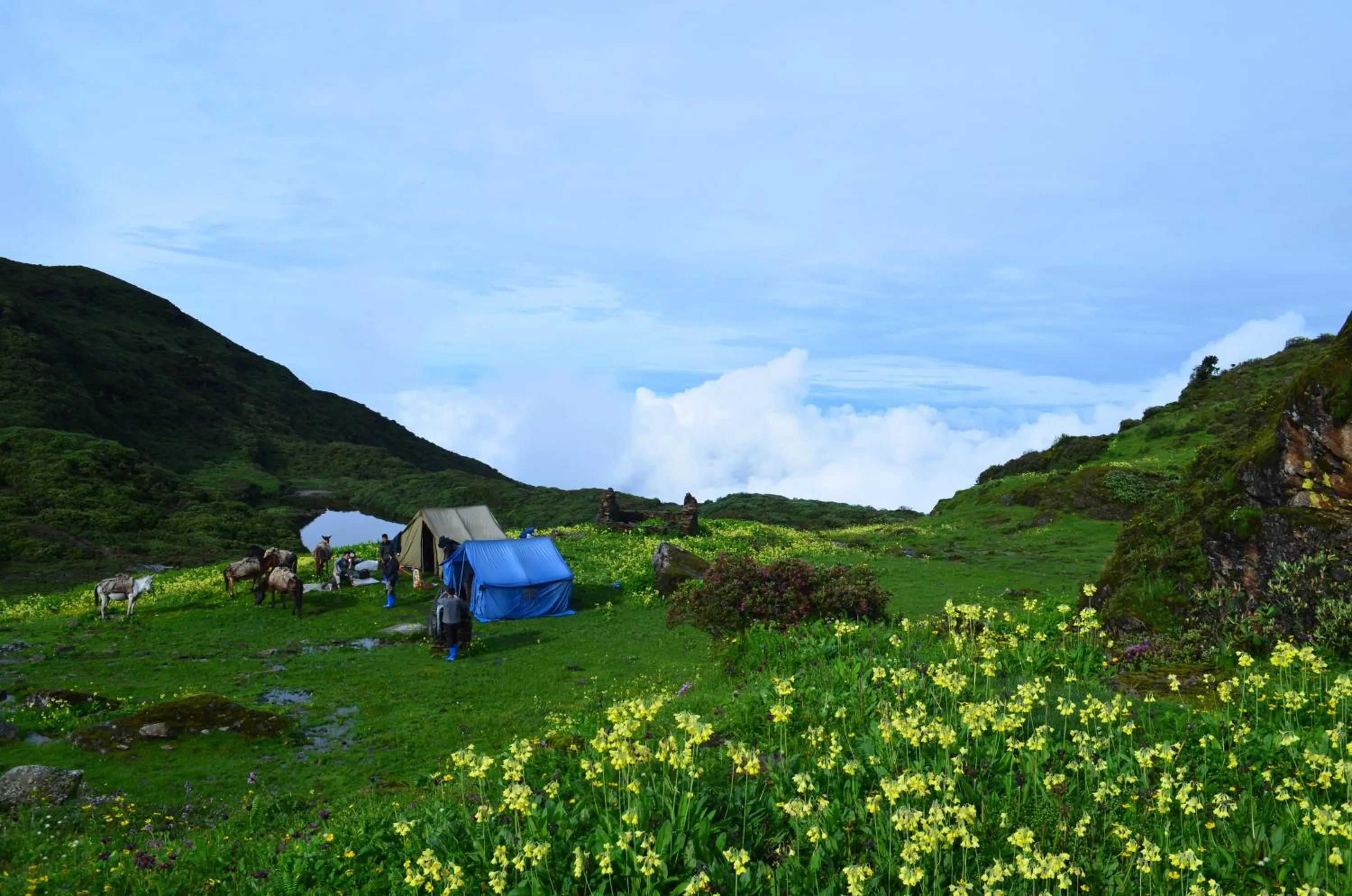 Hiking in NUMINOUS HOTEL