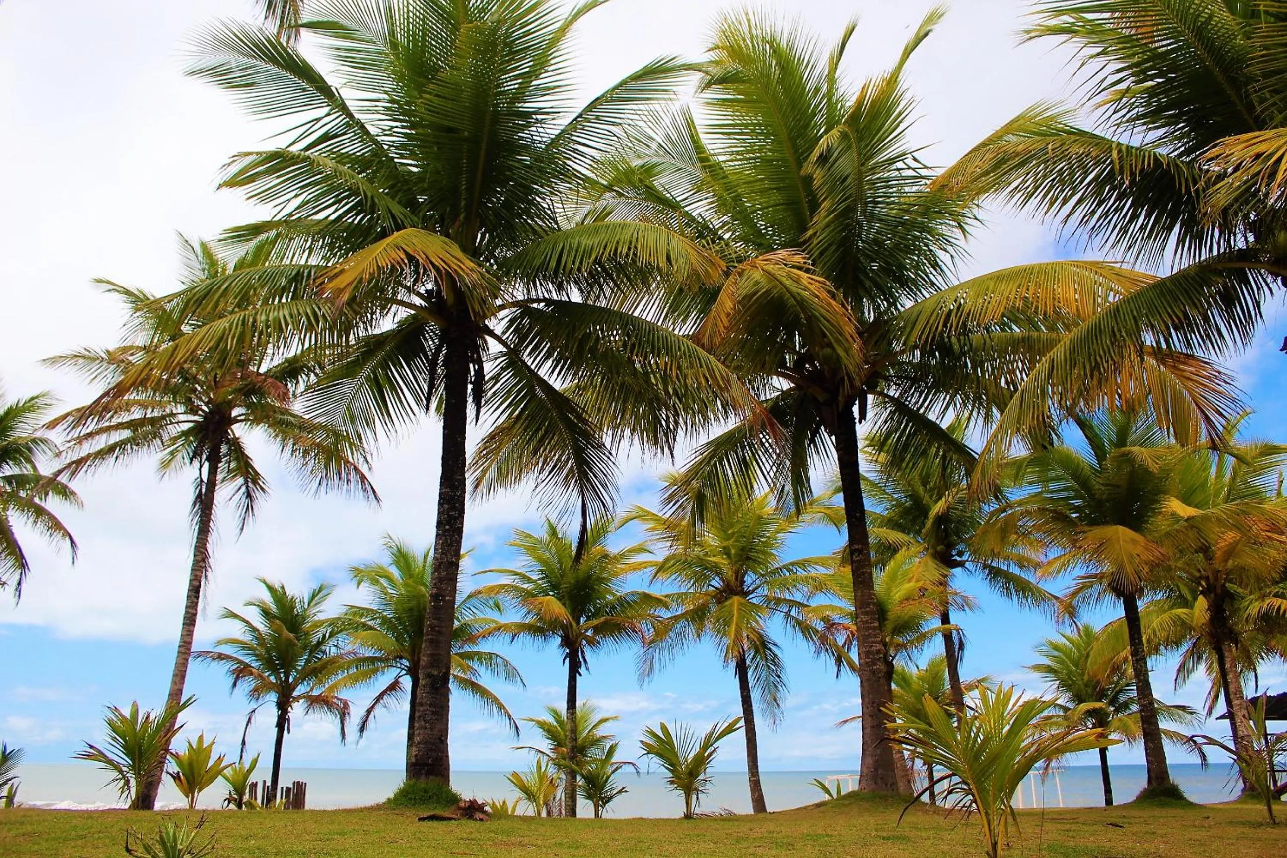 Natural landscape in Vale Verde Coroa Vermelha
