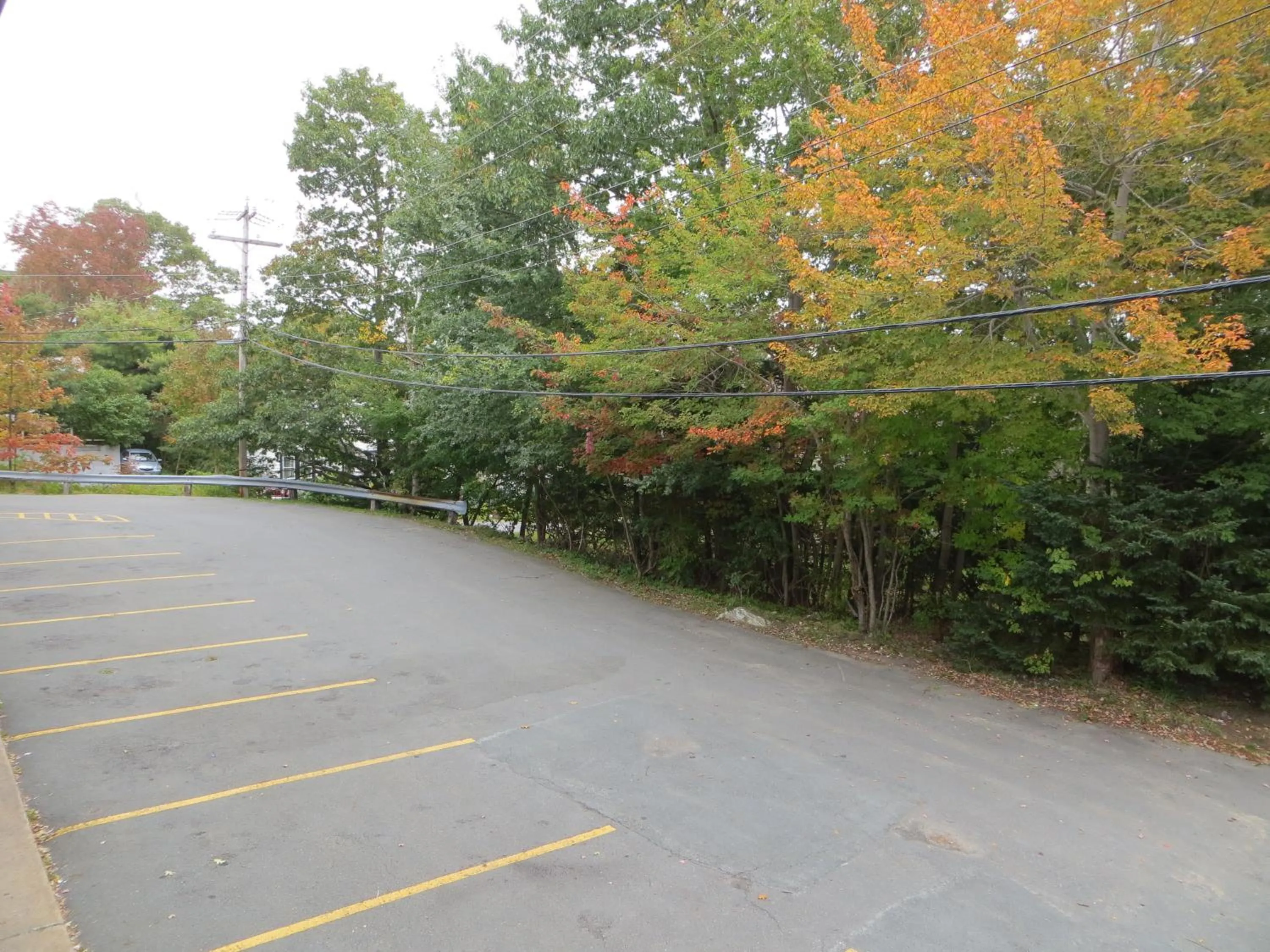 Area and facilities in Stardust Motel - Bedford