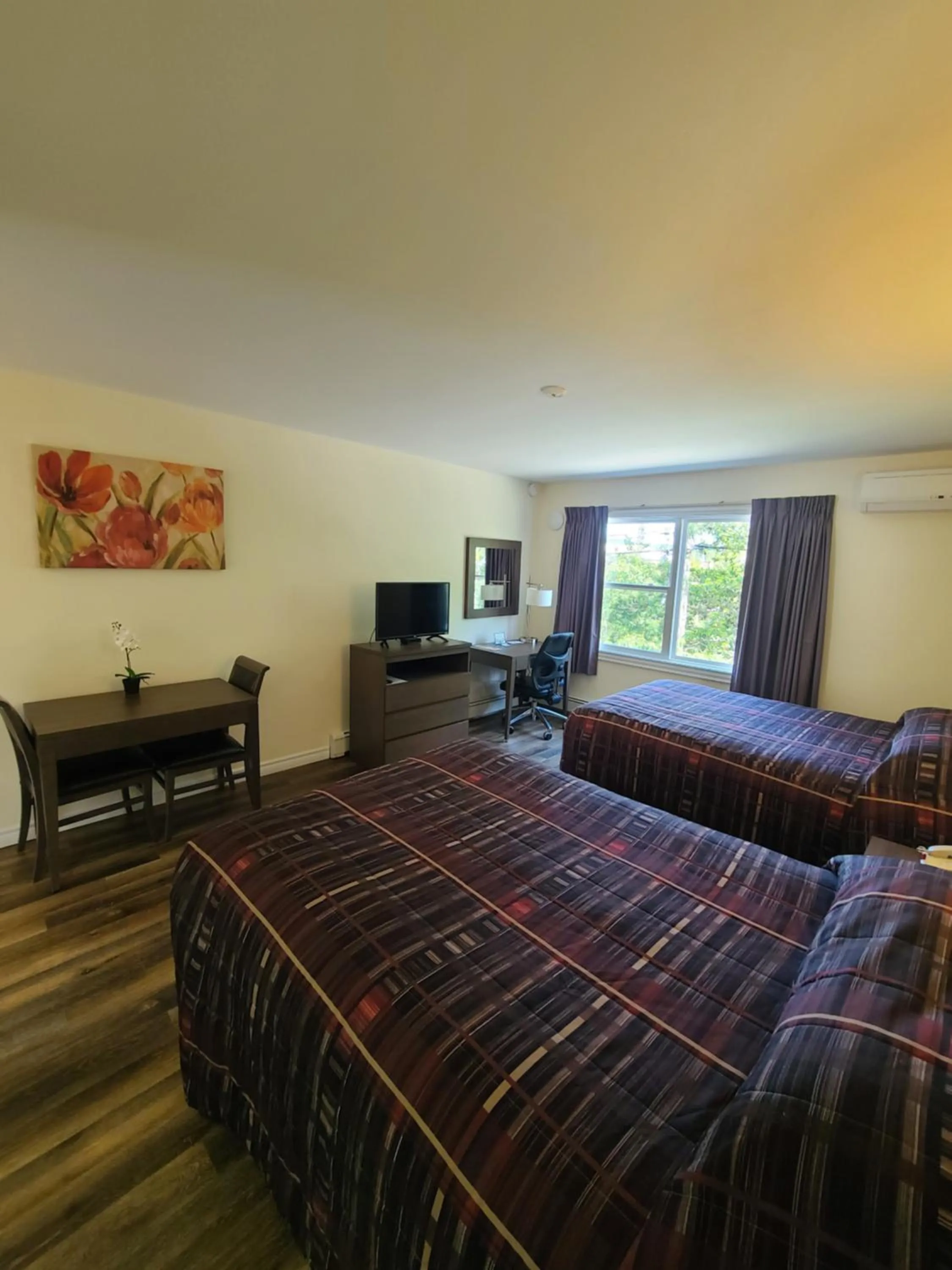 Guests, Bed in Stardust Motel - Bedford