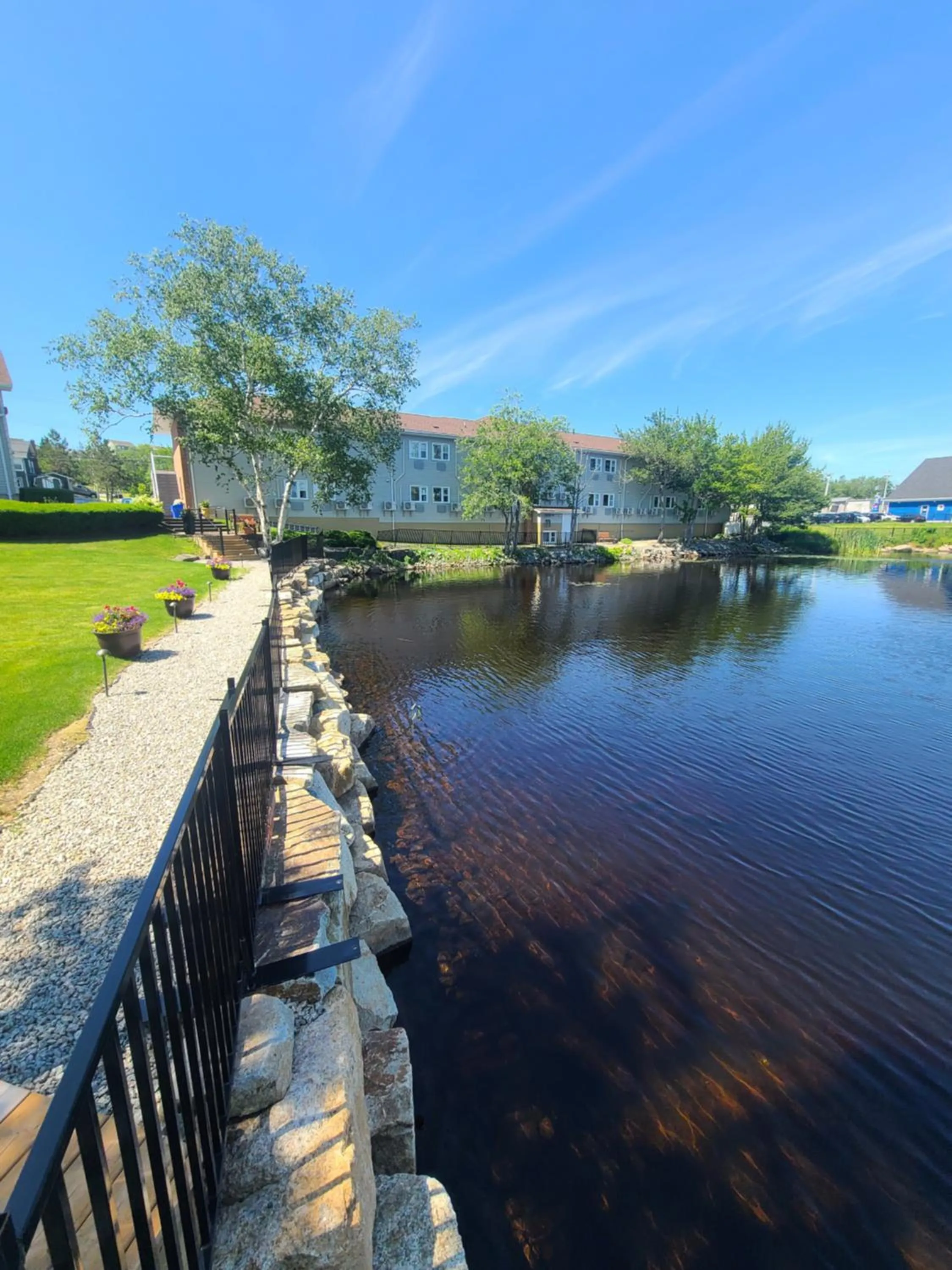 Natural landscape in Stardust Motel - Timberlea