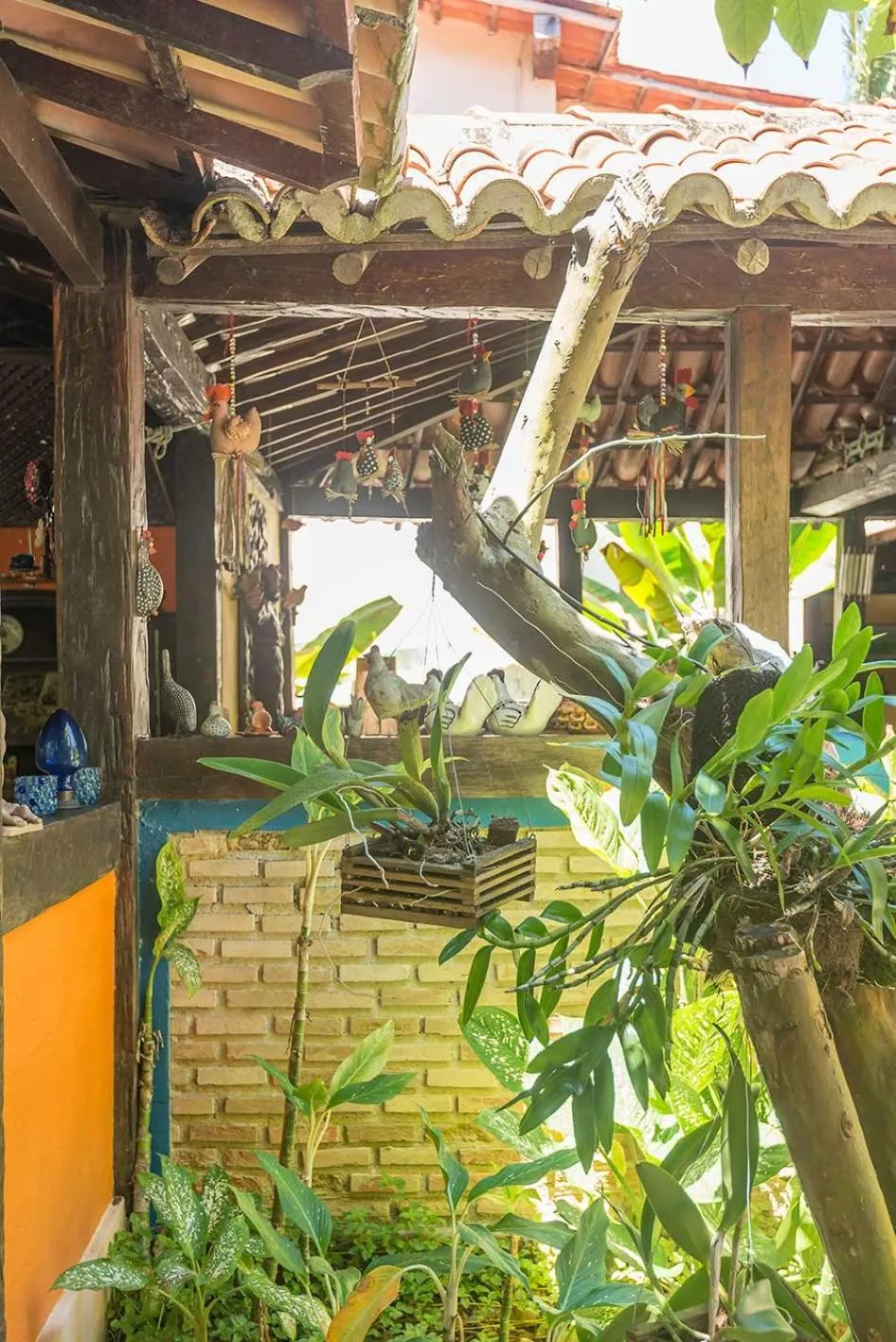 Garden in Pousada Bemvirá