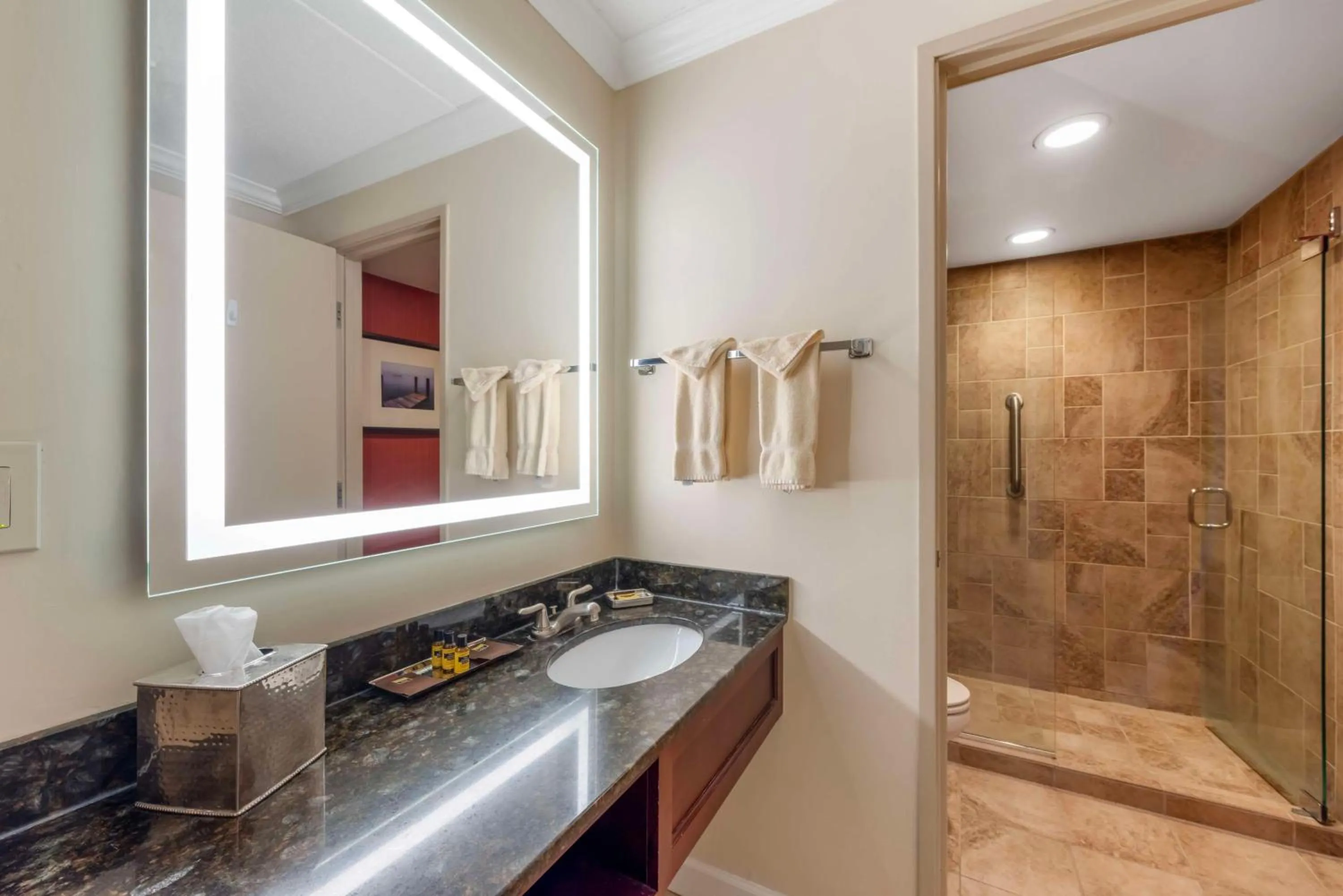 Bathroom in Best Western Plus White Bear Country Inn