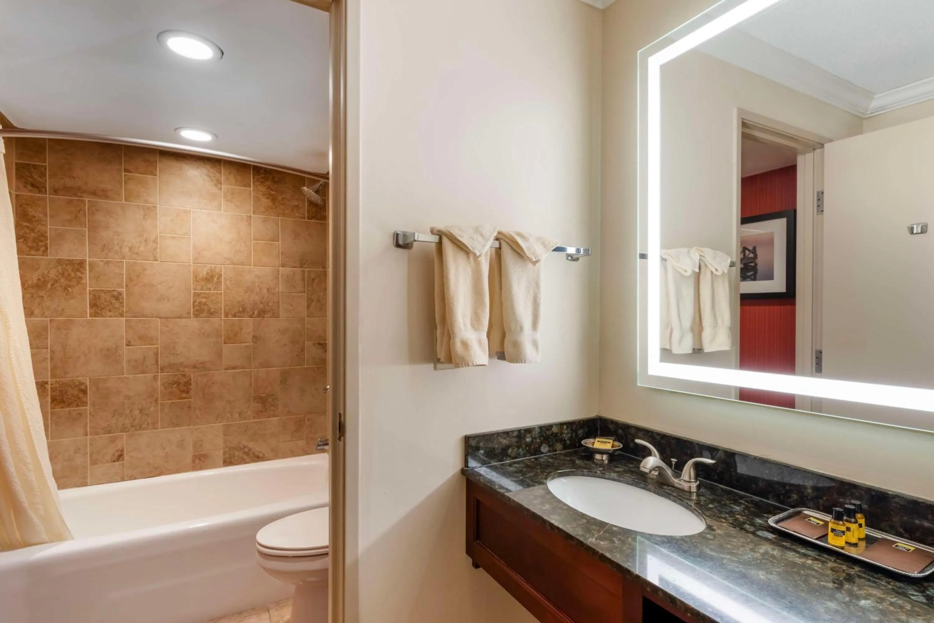 Bathroom in Best Western Plus White Bear Country Inn