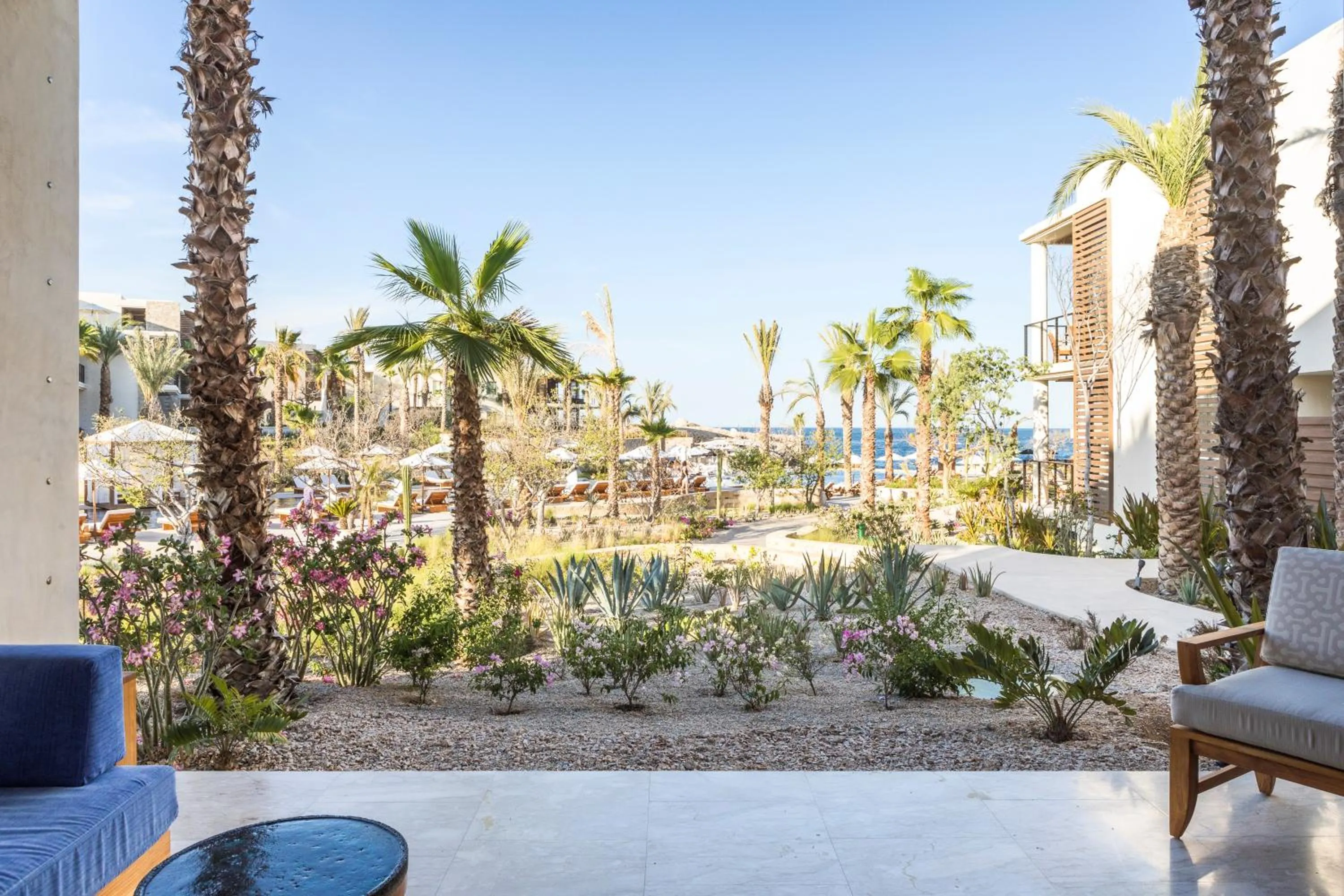 Garden view in Chileno Bay Resort & Residences, Auberge Collection