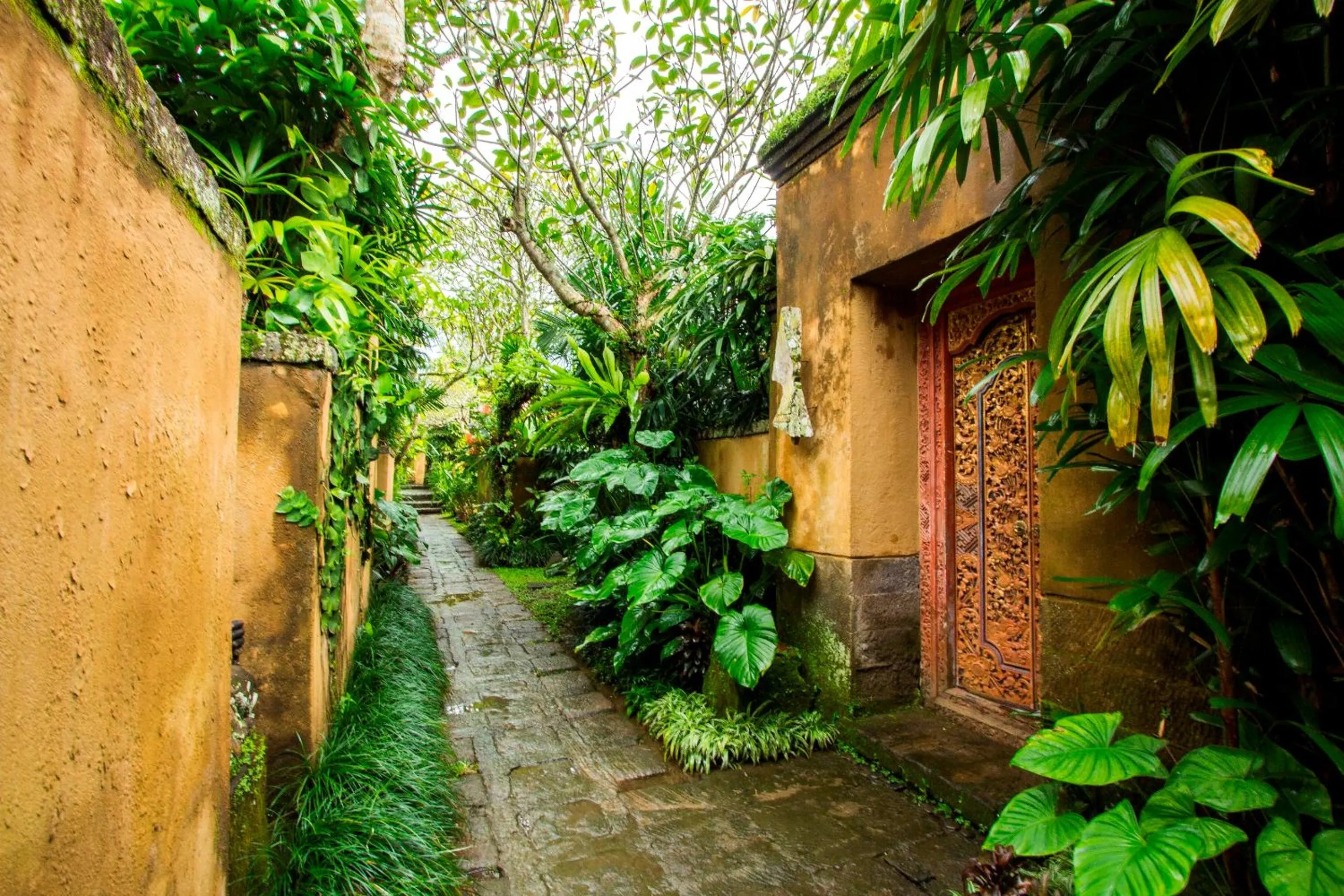 Garden in The Sungu Resort & Spa